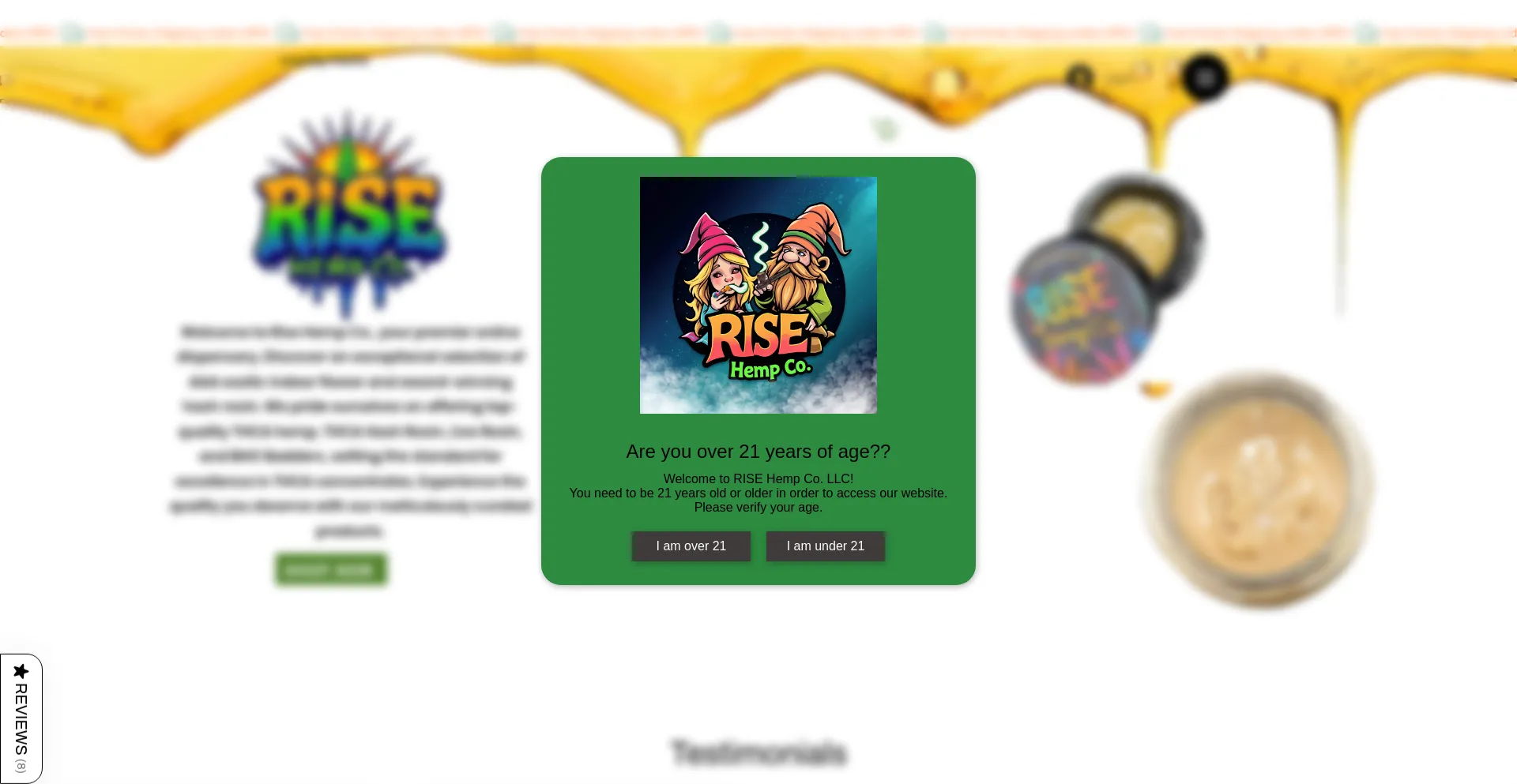 Website screenshot of Risehempllc.com