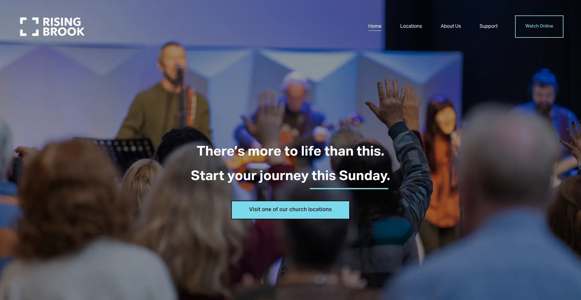 Website screenshot of Risingbrook.org