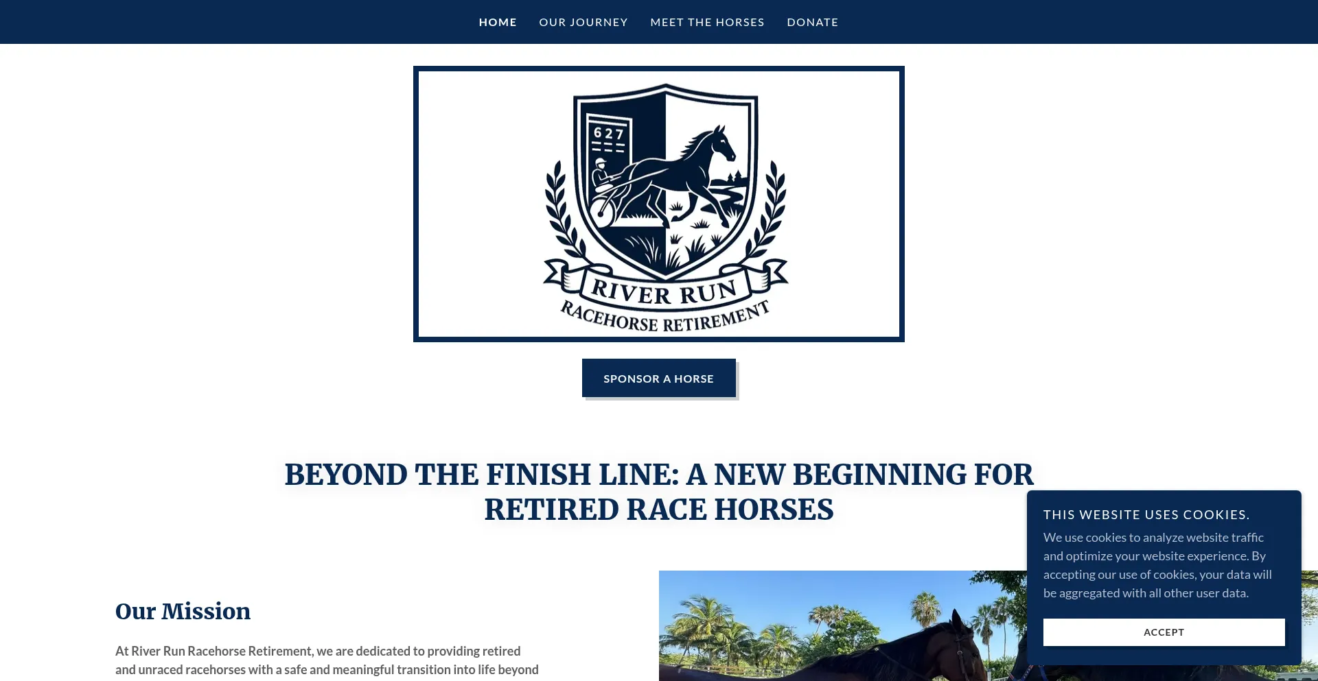 Website screenshot of Riverrunracehorseretirement.com