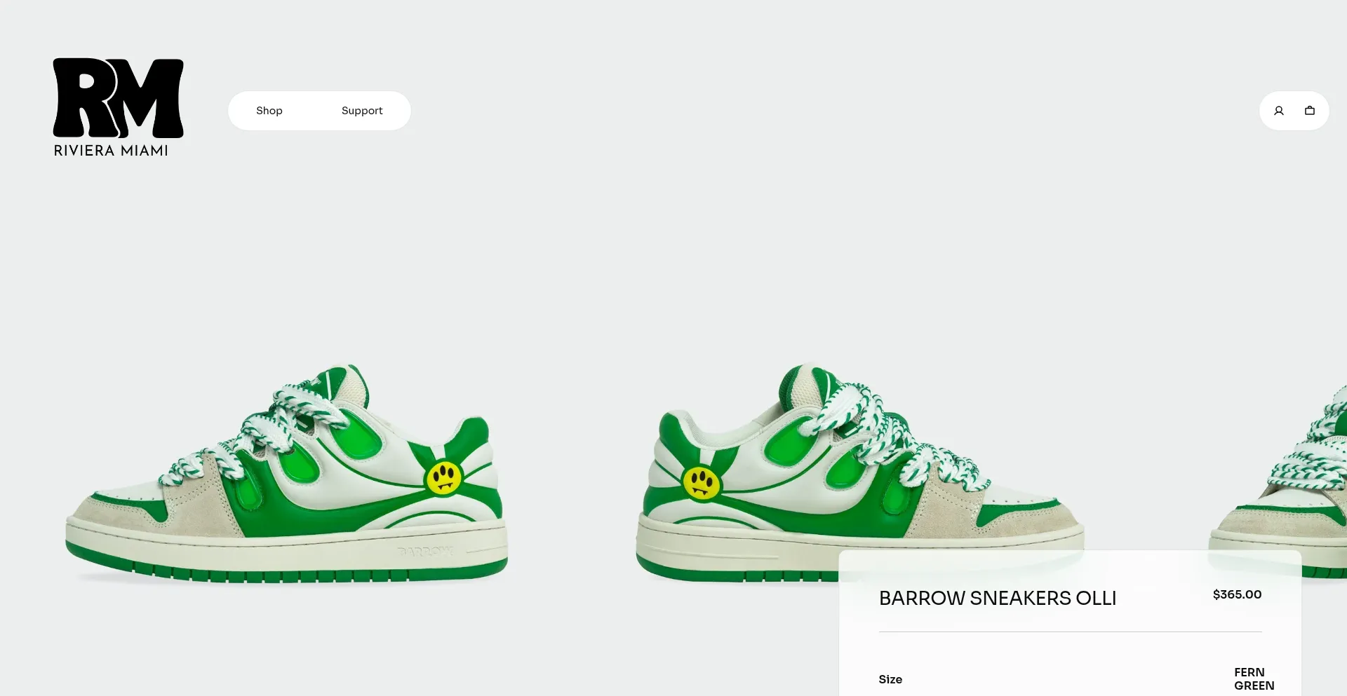Website screenshot of Rivieramiami.com