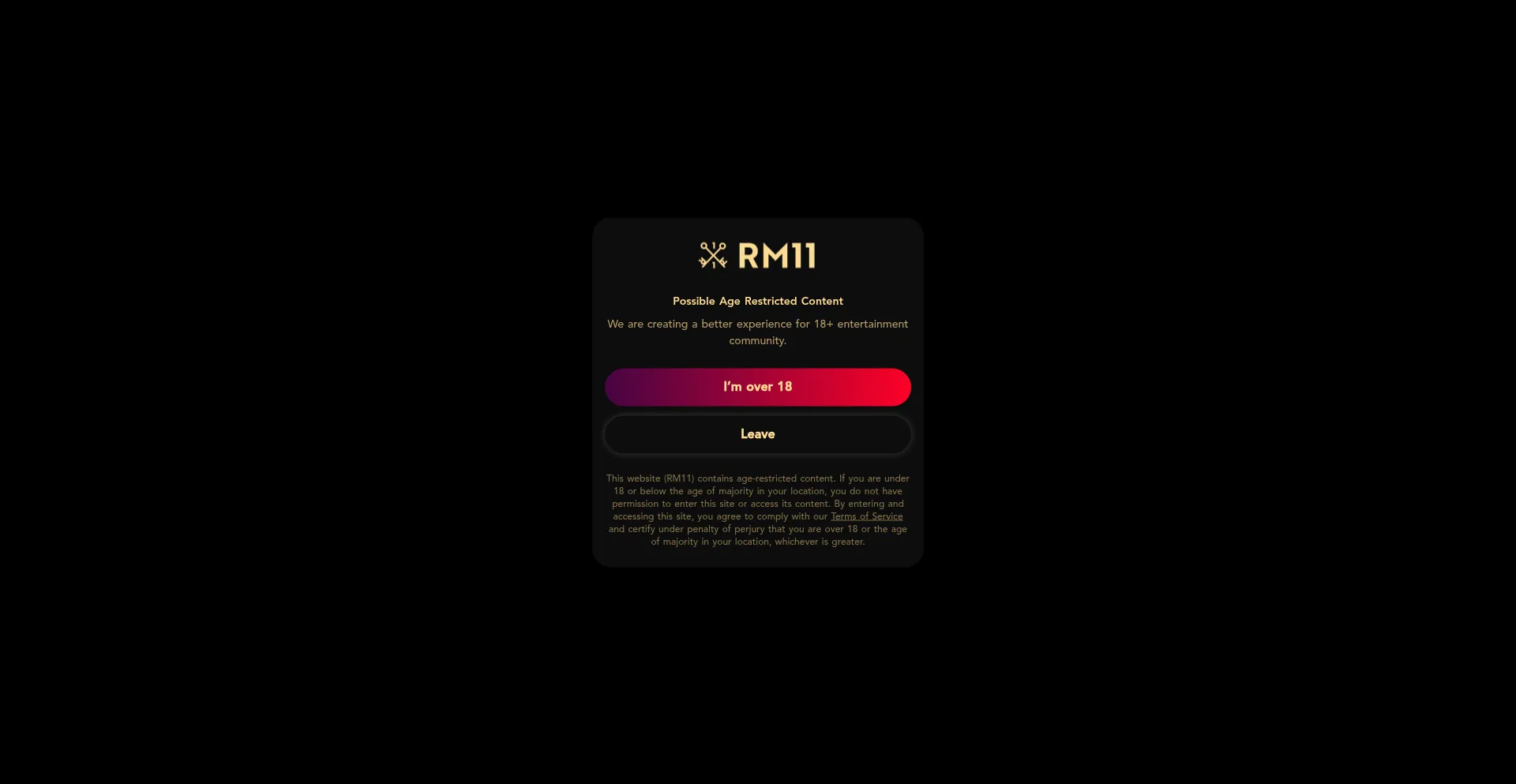 Website screenshot of Rm11.com