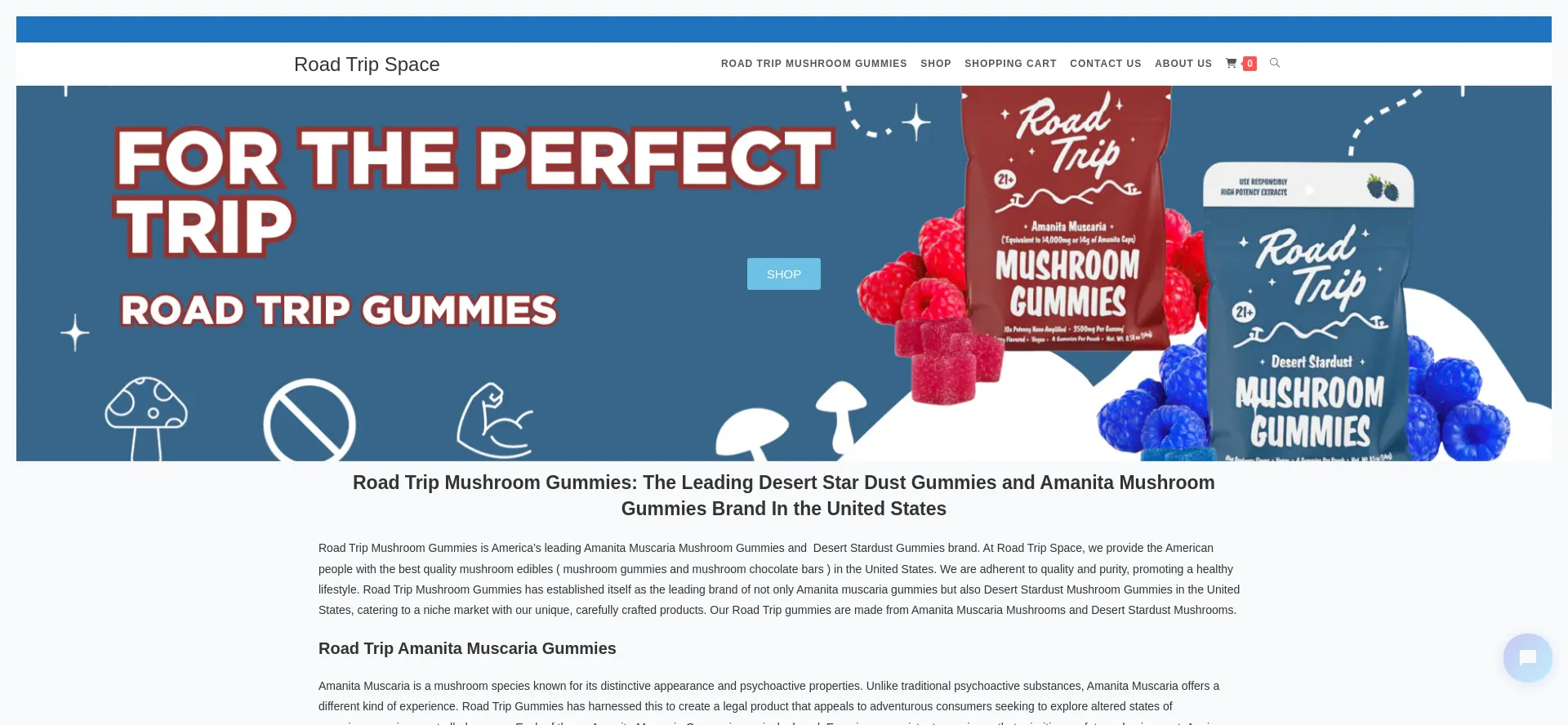 Website screenshot of Roadtripspace.com