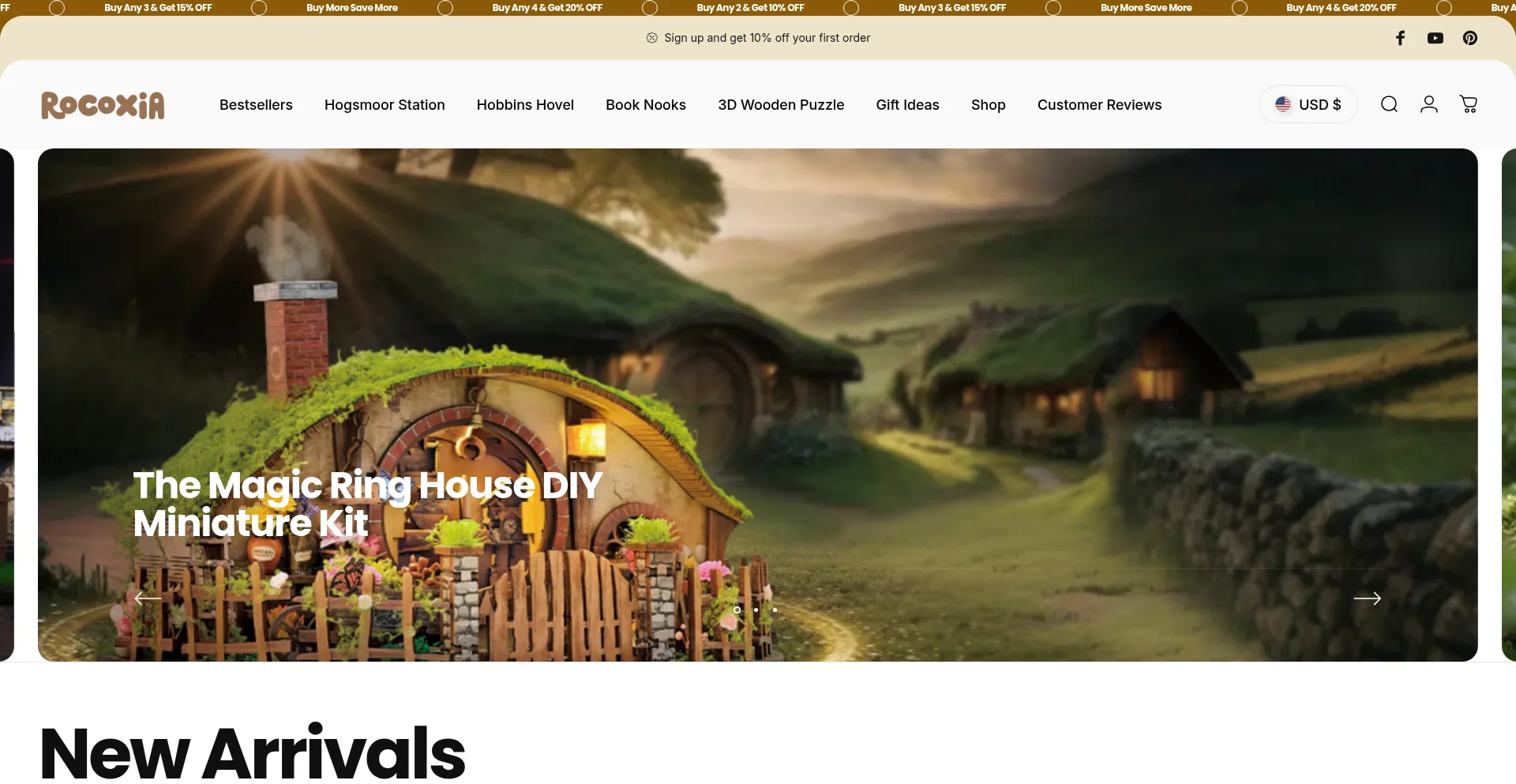 Website screenshot of Rocoxia.com