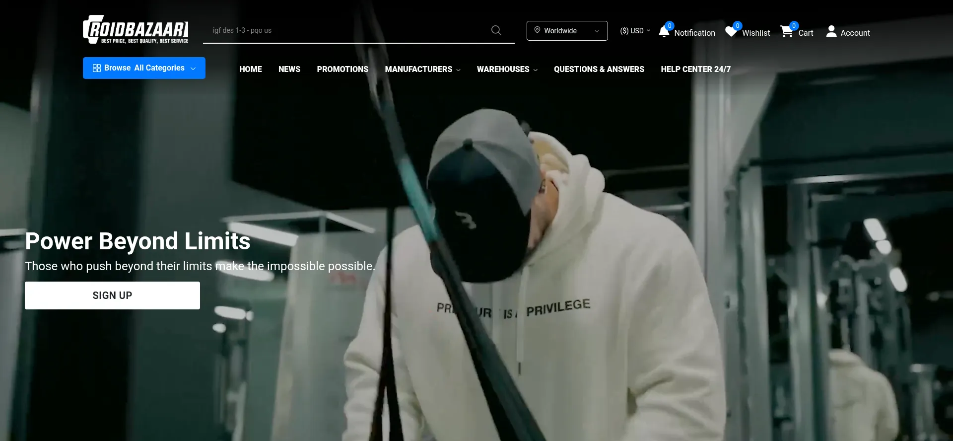 Website screenshot of Roidbazaar.to