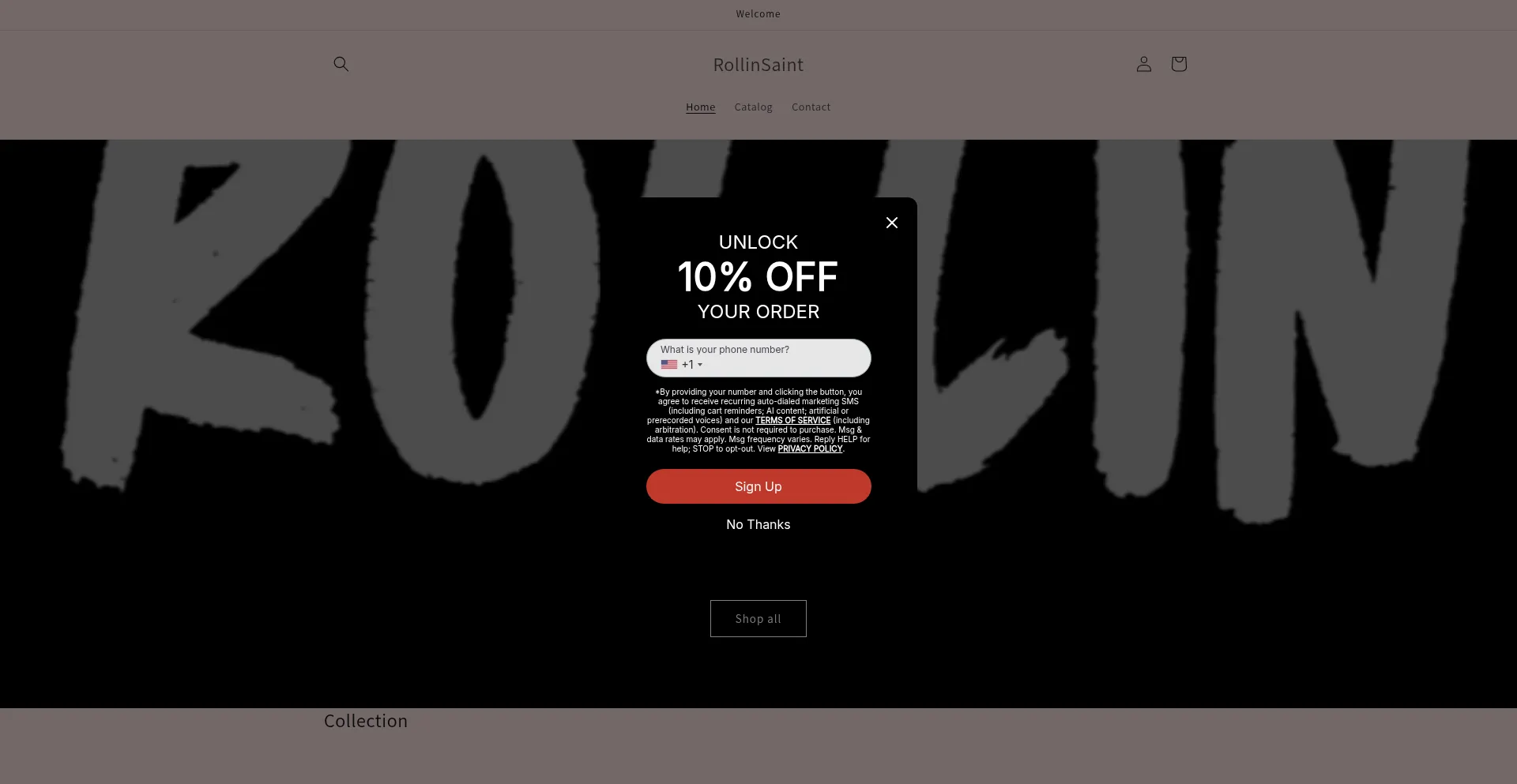 Website screenshot of Rollinsaint.com