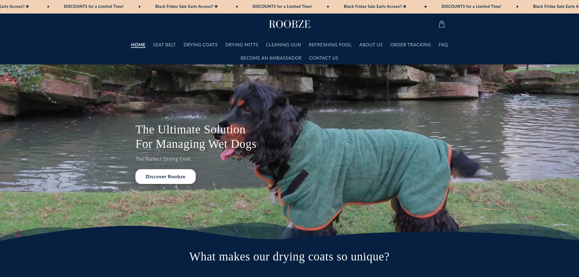 Website screenshot of Roobze.com