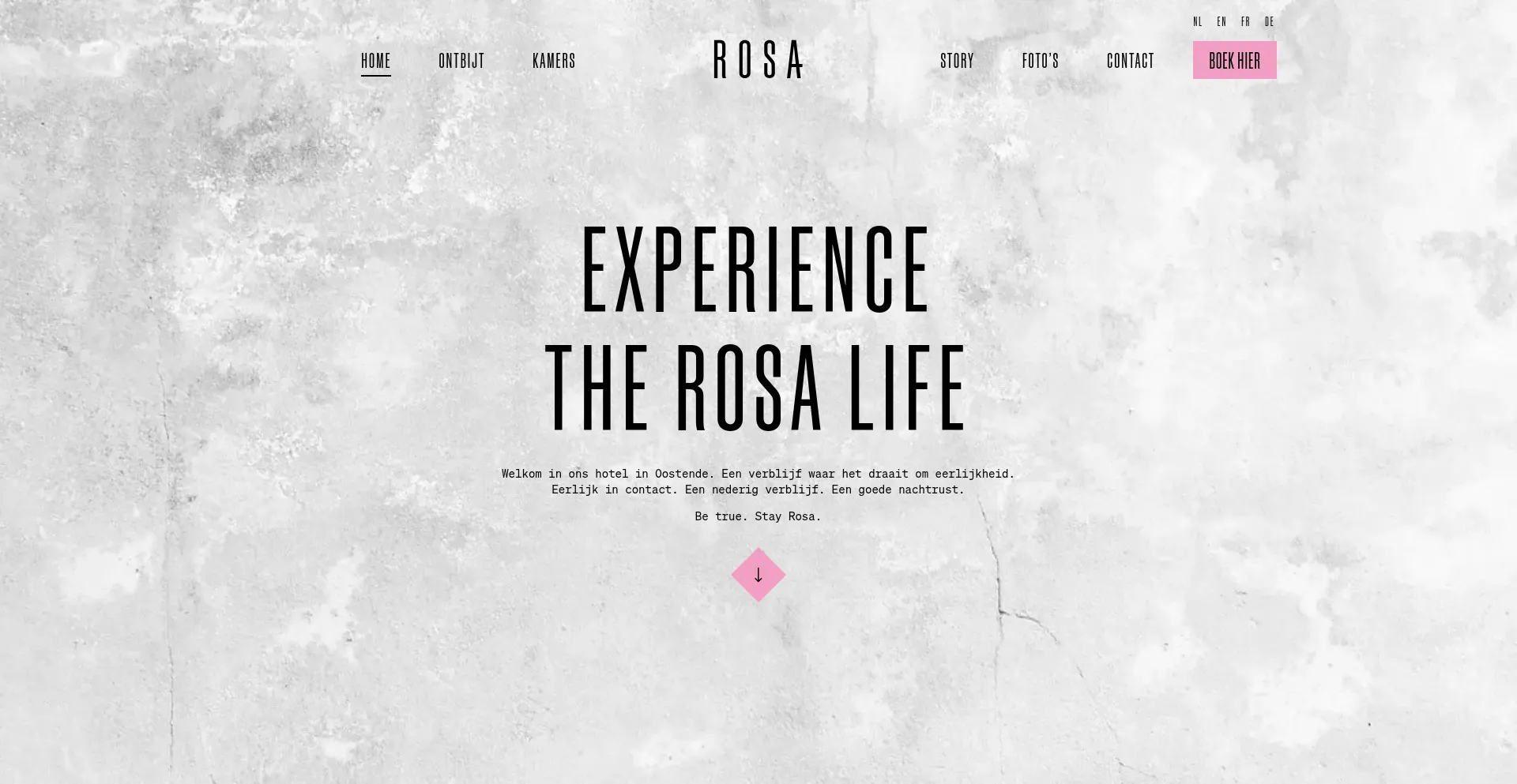 Website screenshot of Rosahotel.be