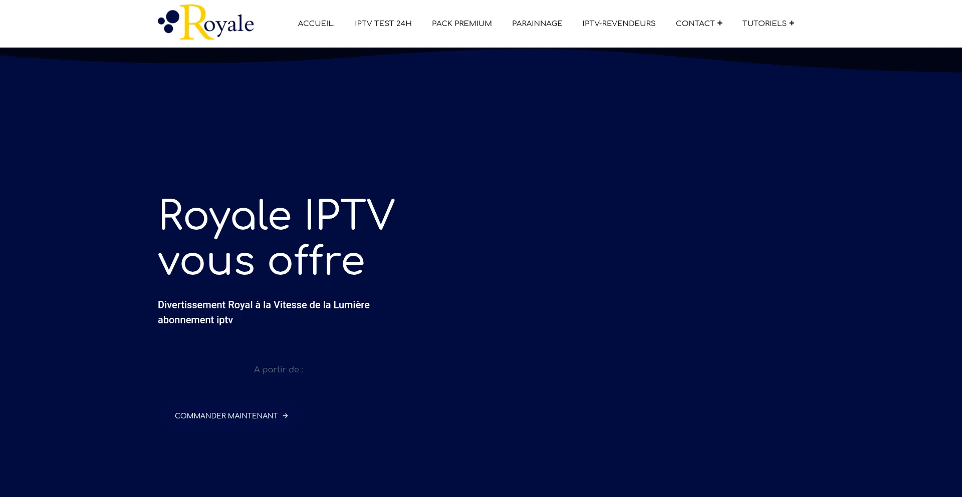 Website screenshot of Royale-iptv.org