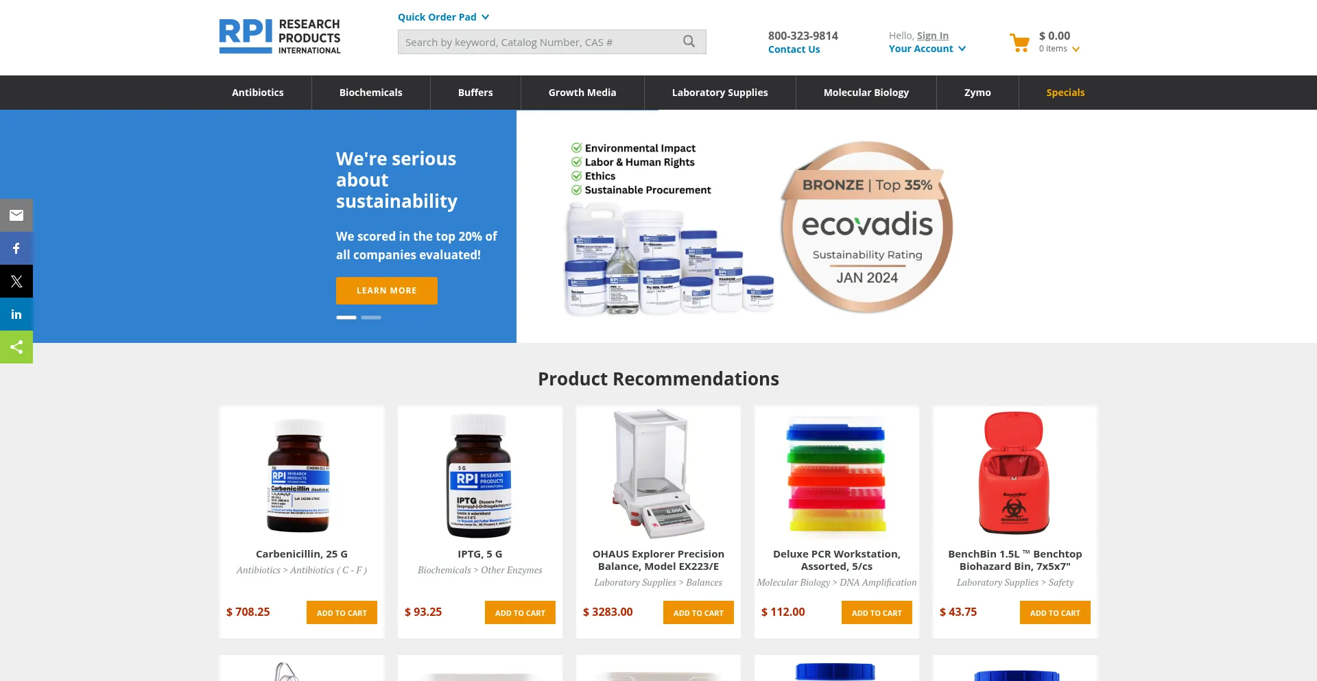 Website screenshot of Rpicorp.com