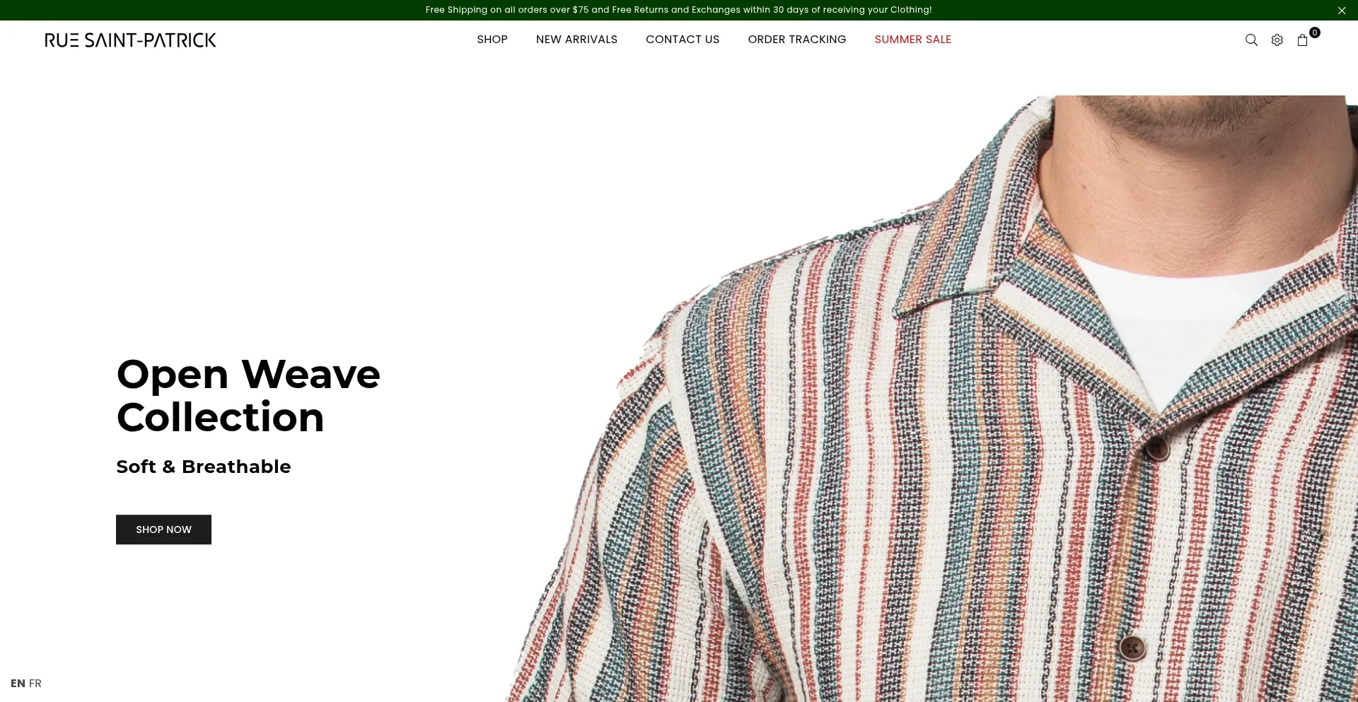 Ruesaintpatrick.com Screenshot