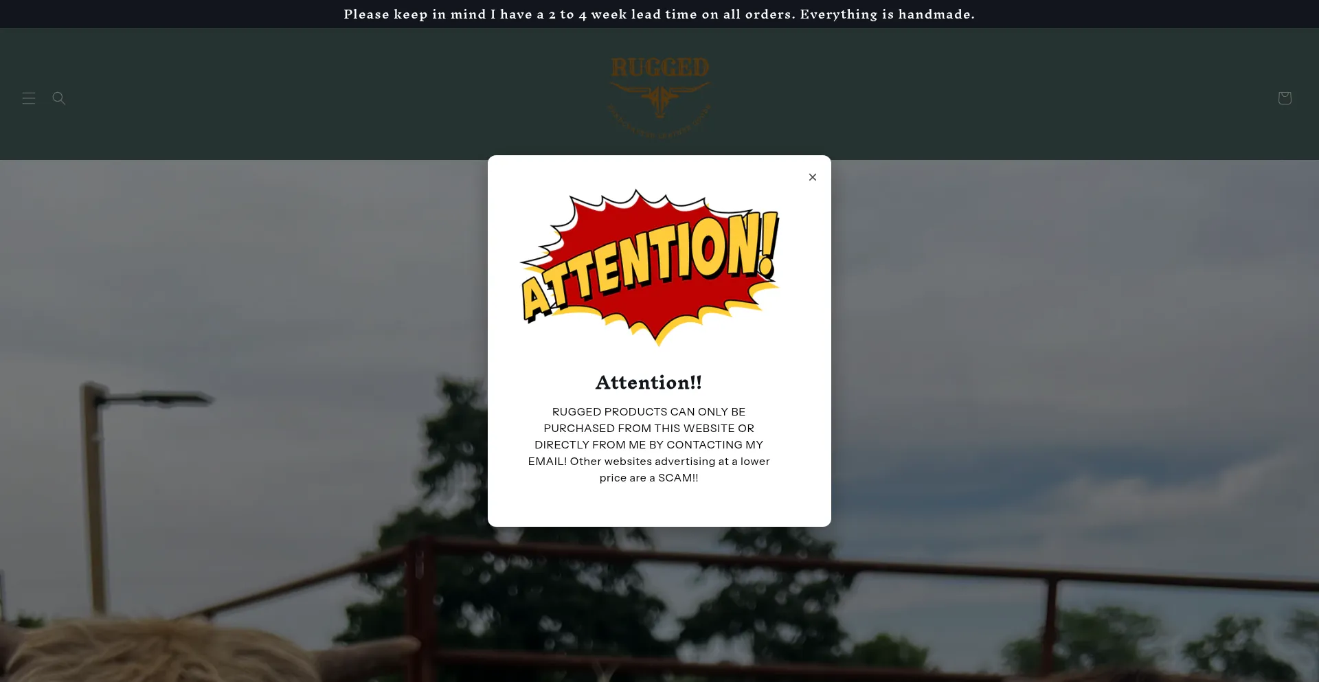 Is Ruggedtx.com Safe?