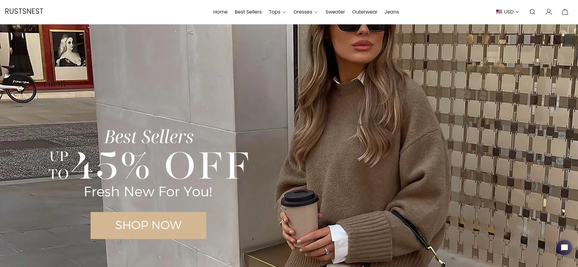 Website screenshot of Rustsnest.com