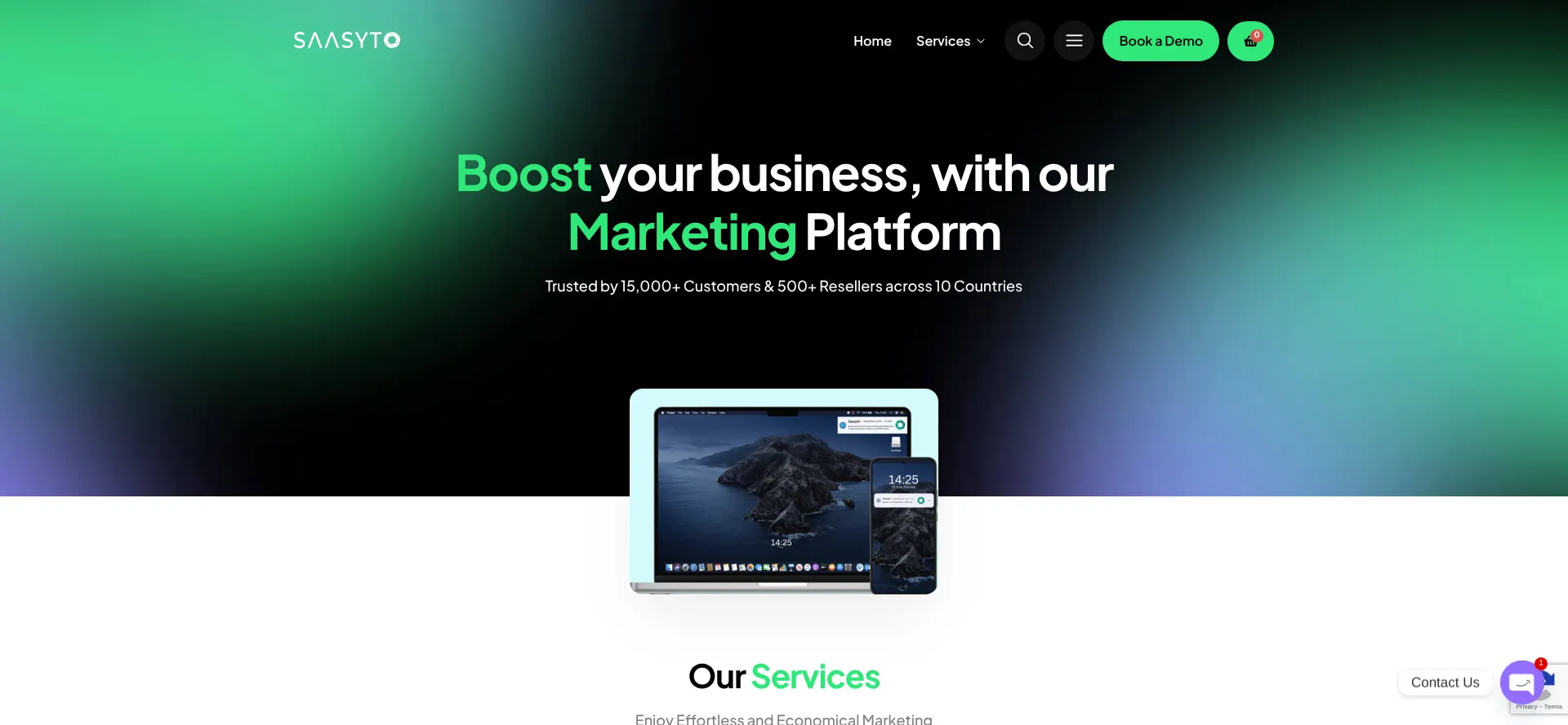Website screenshot of Saasyto.com