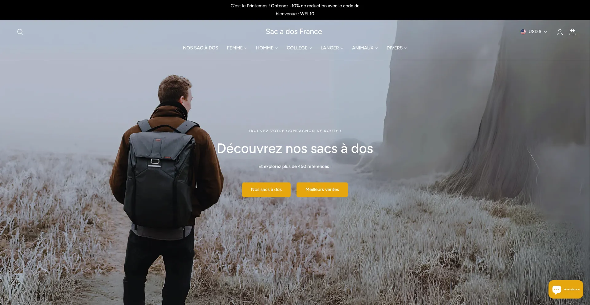 Website screenshot of Sac-a-dos-france.fr