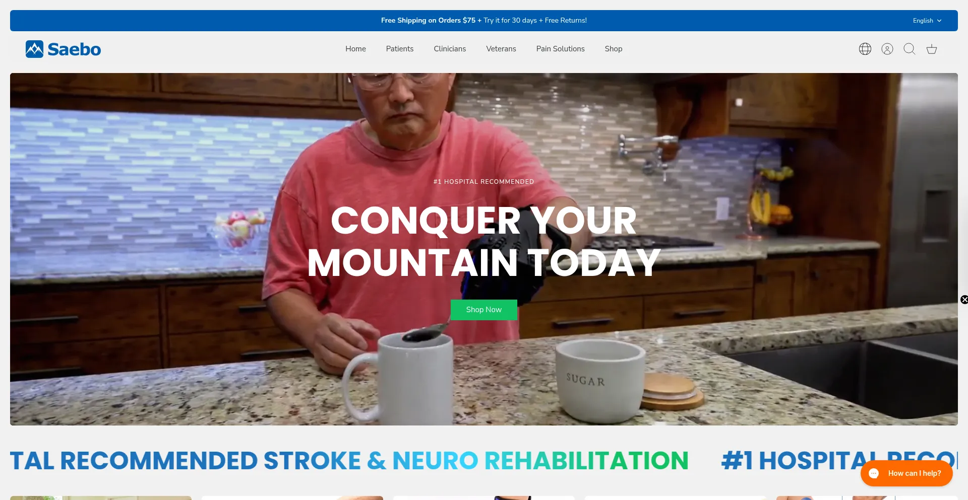 Website screenshot of Saebo.com