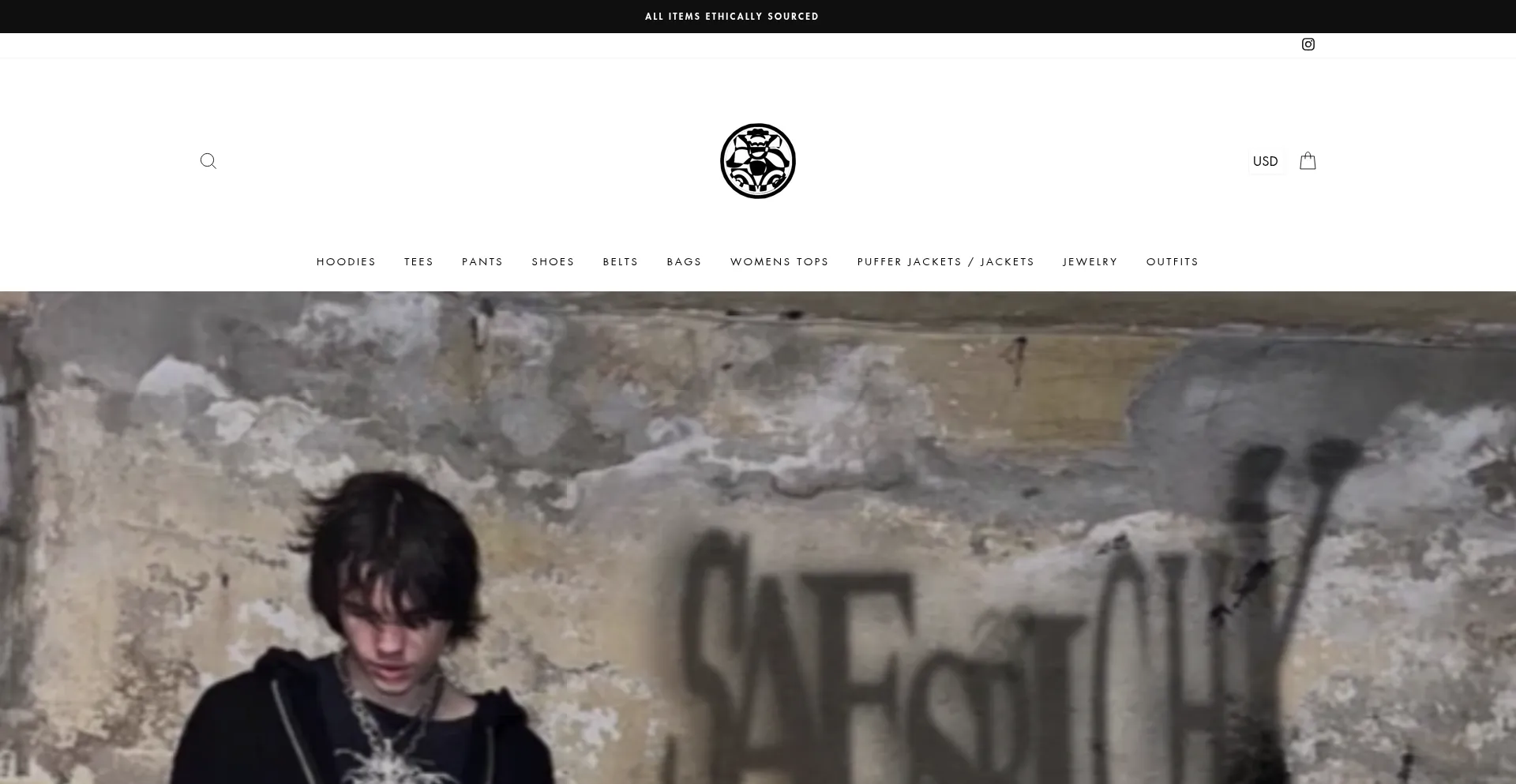 Website screenshot of Saesrichx.com