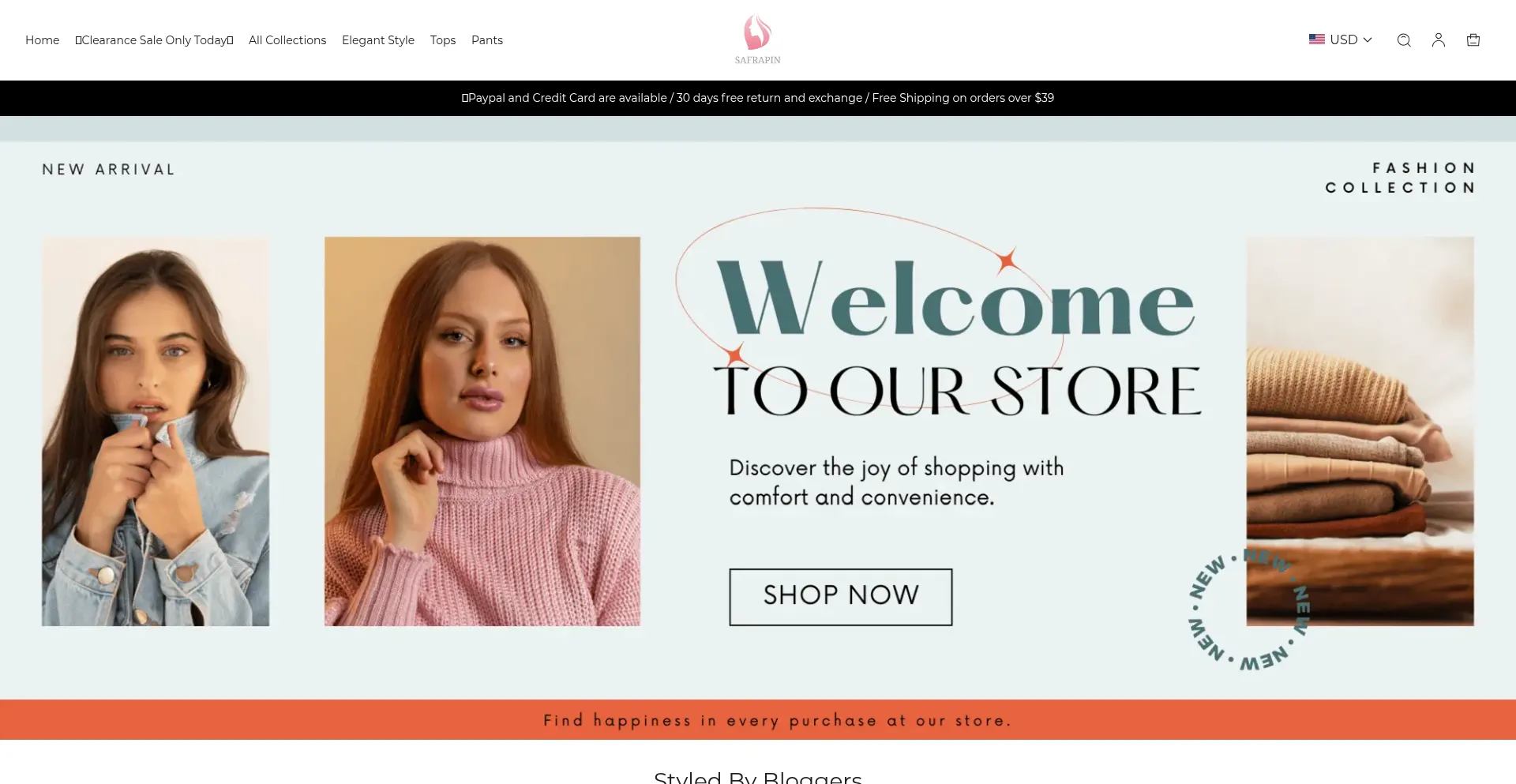 Website screenshot of Safrapin.com