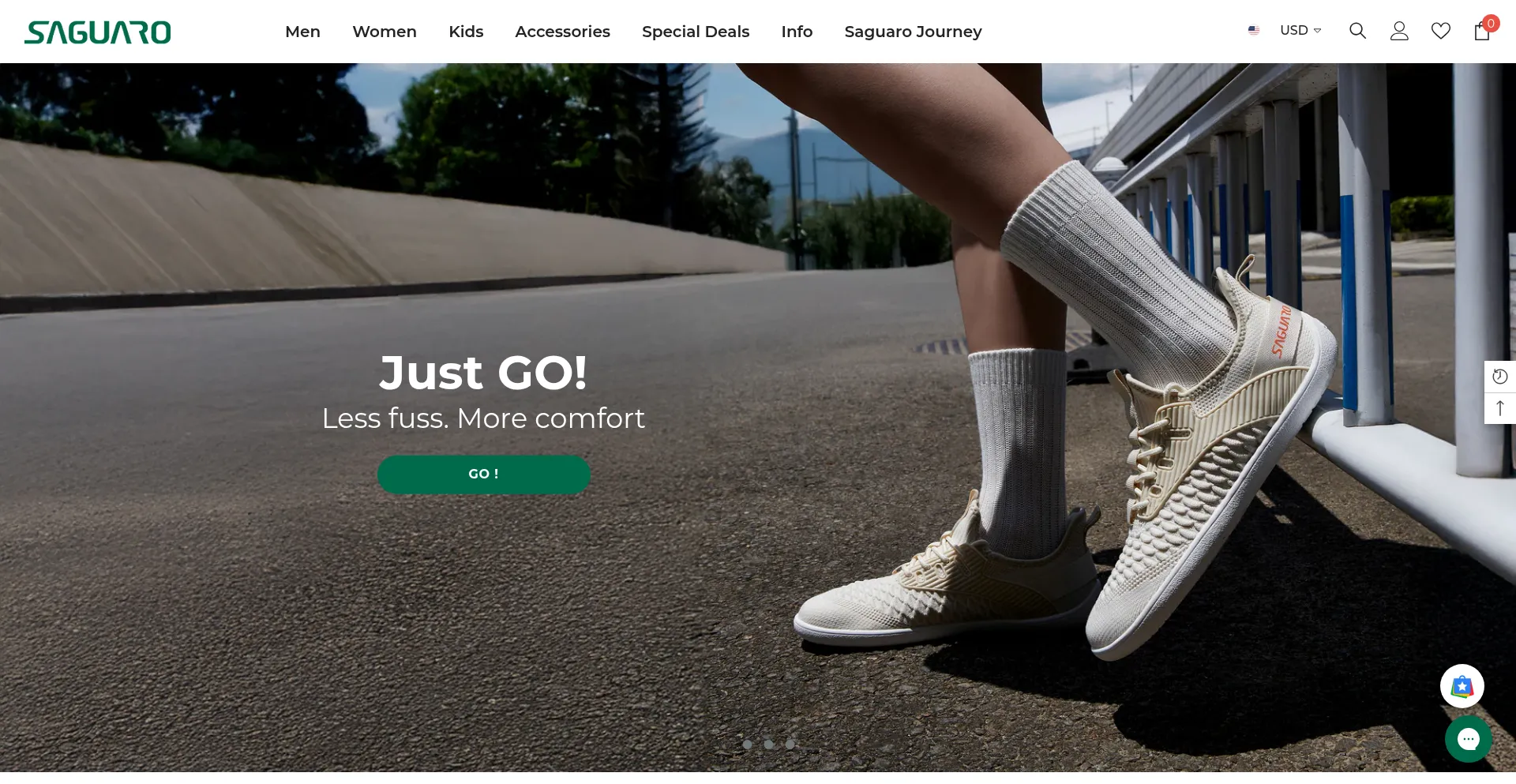 Website screenshot of Saguarohub.com