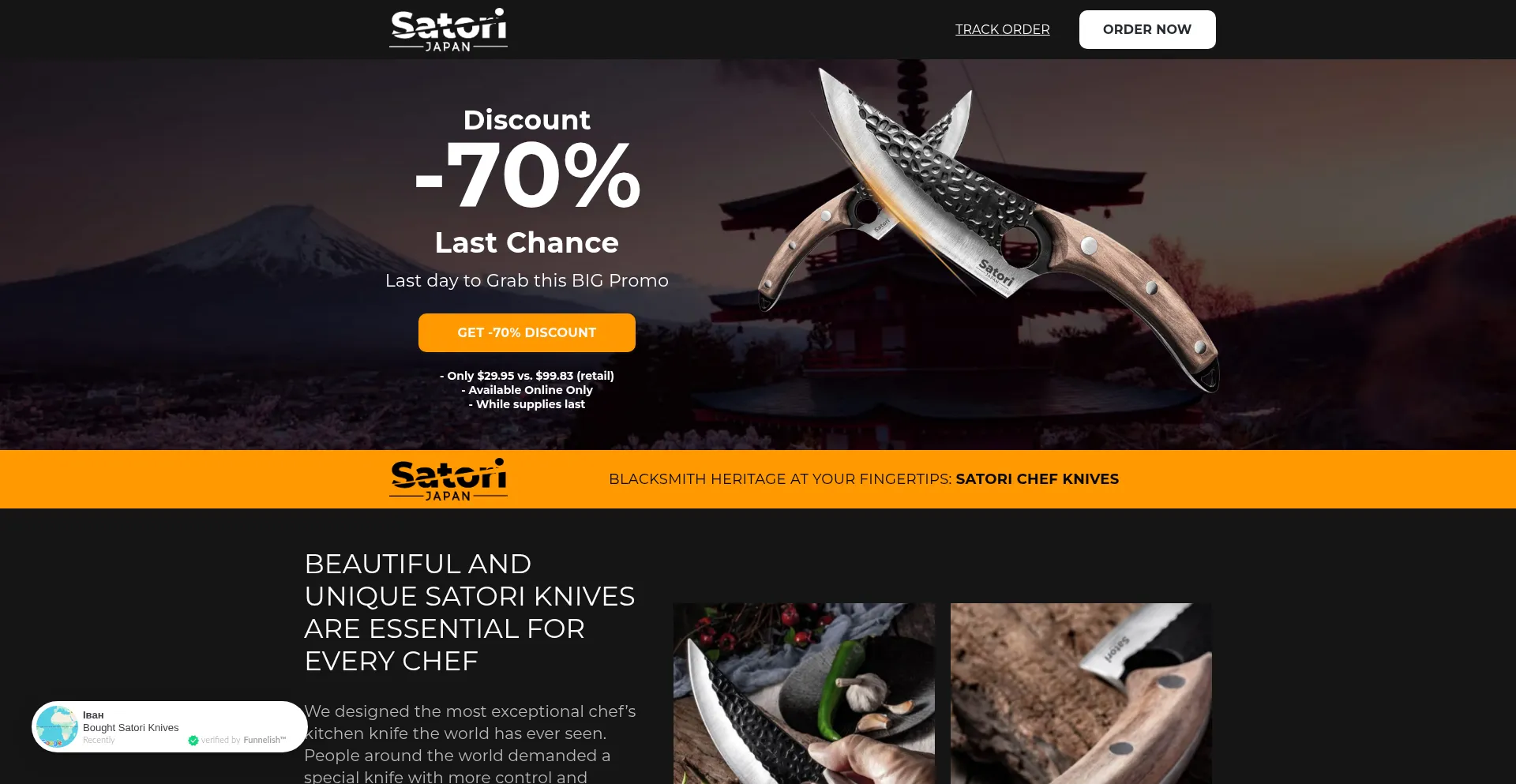 Website screenshot of Sale.get-satori.com