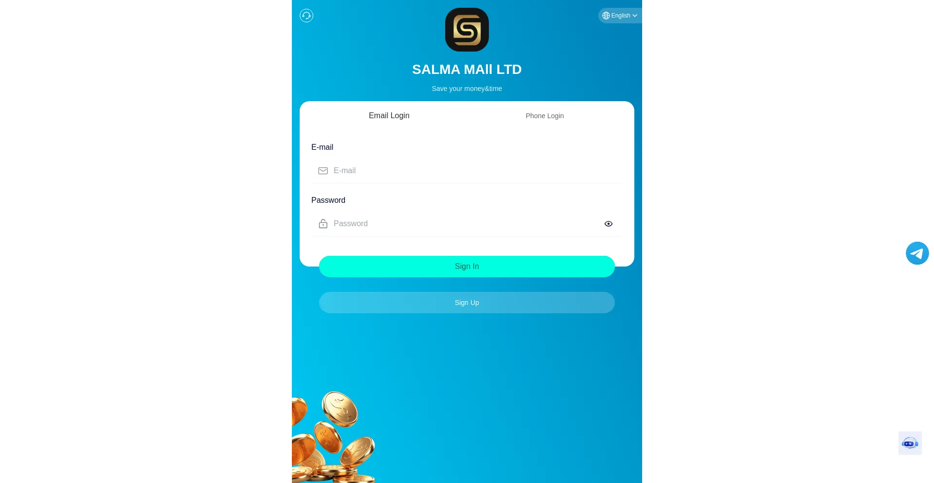 Website screenshot of Salma.top