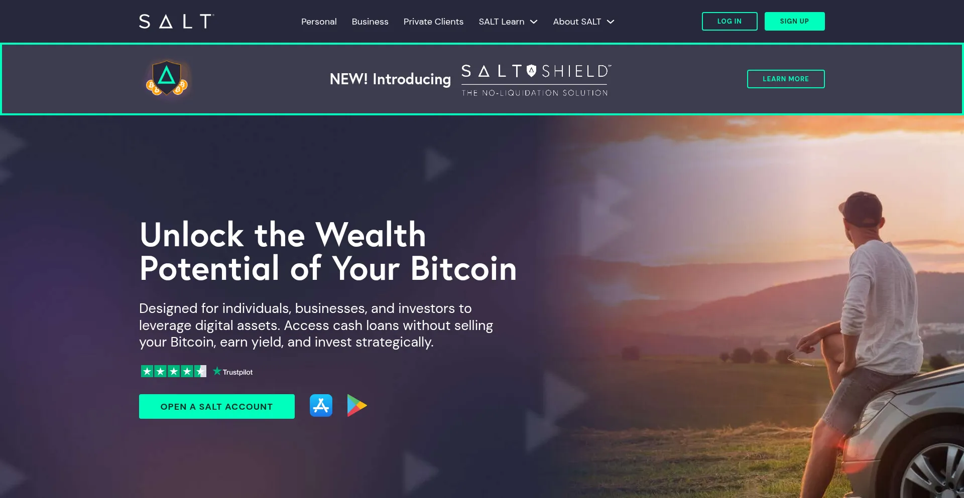 Saltlending.com Screenshot