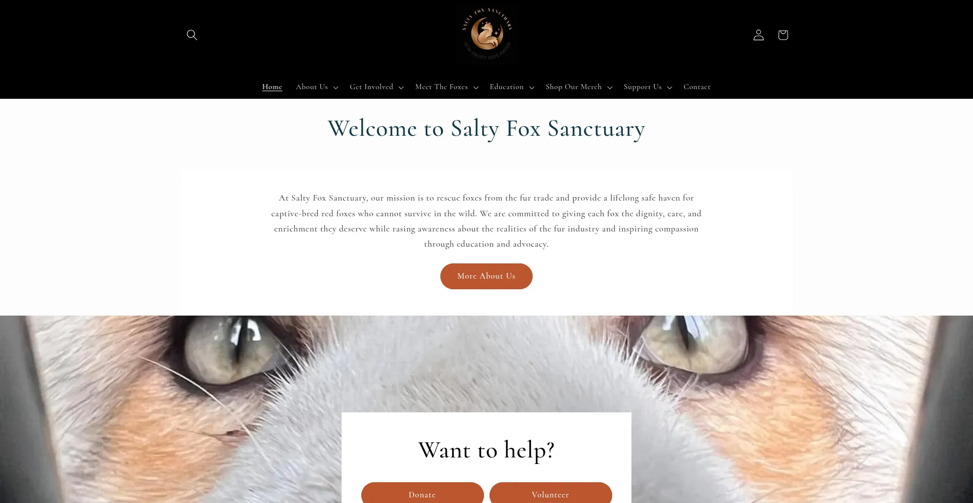 Saltyfoxsanctuary.com