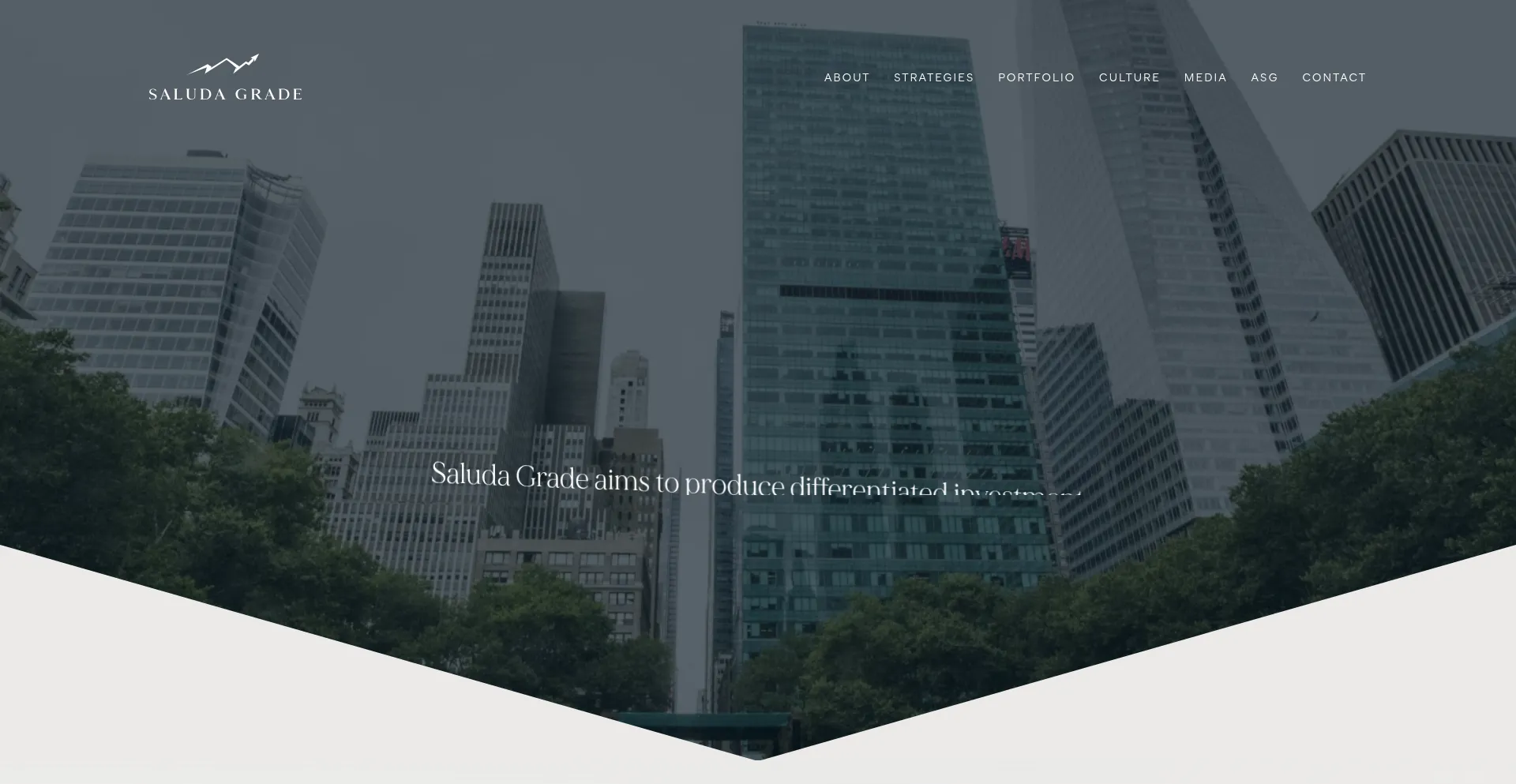Website screenshot of Saludagrade.com