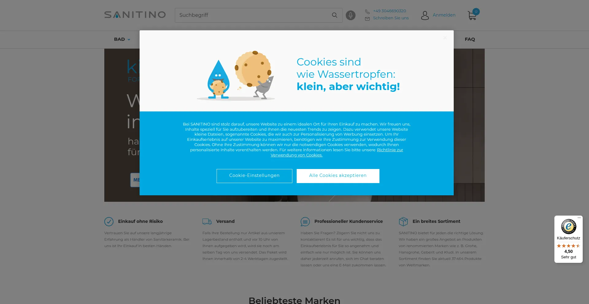 Website screenshot of Sanitino.de
