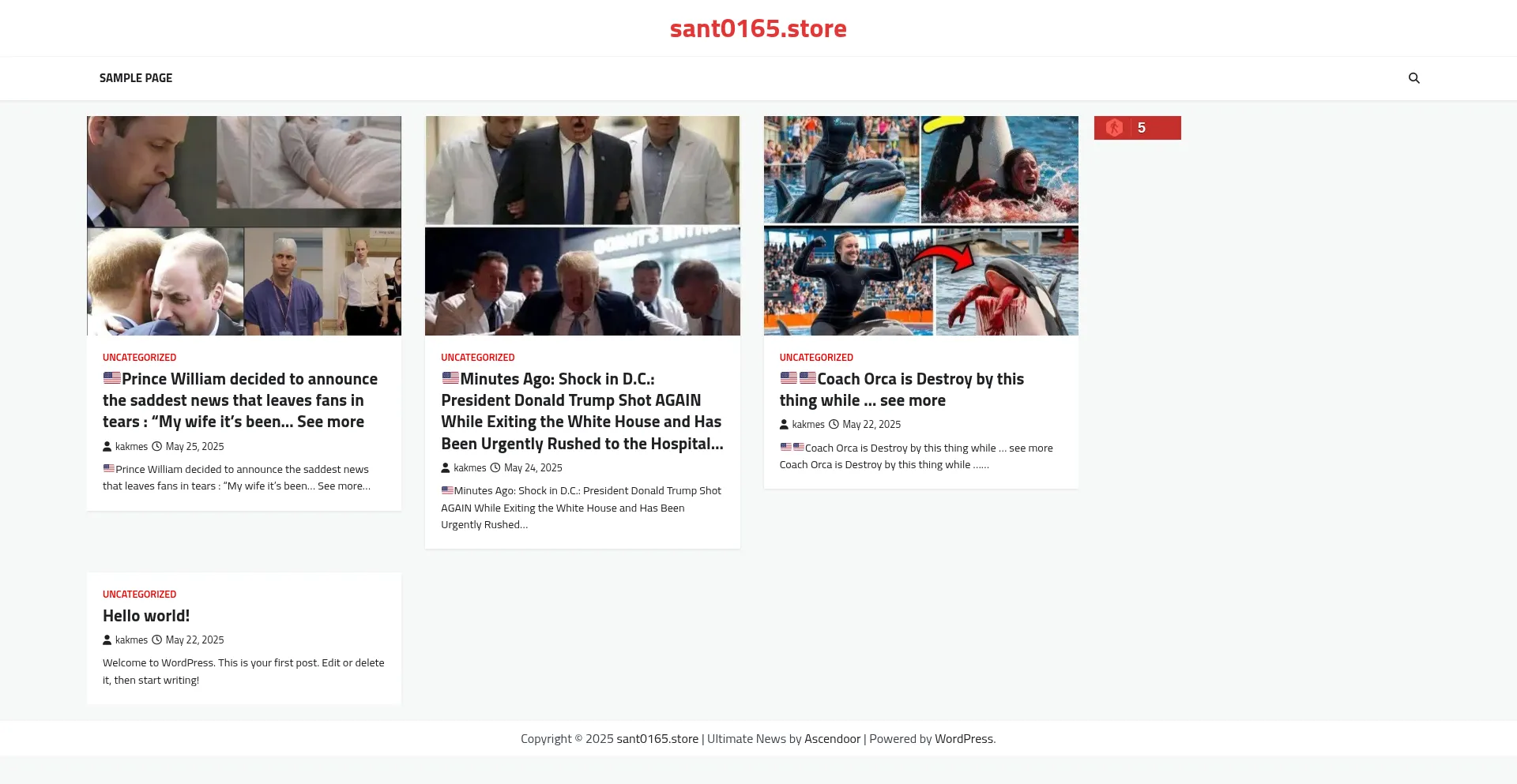 Website screenshot of Sant0165.store