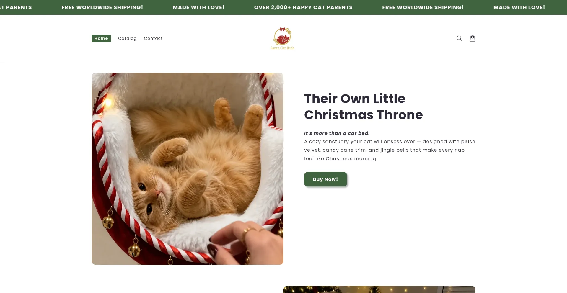 Santacatbeds.shop