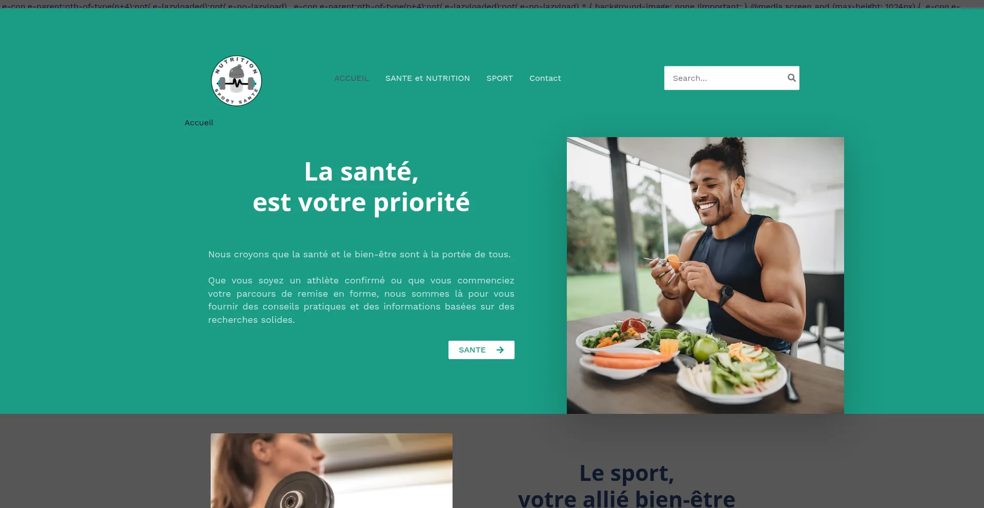Sante-sport-et-nutrition.fr Screenshot