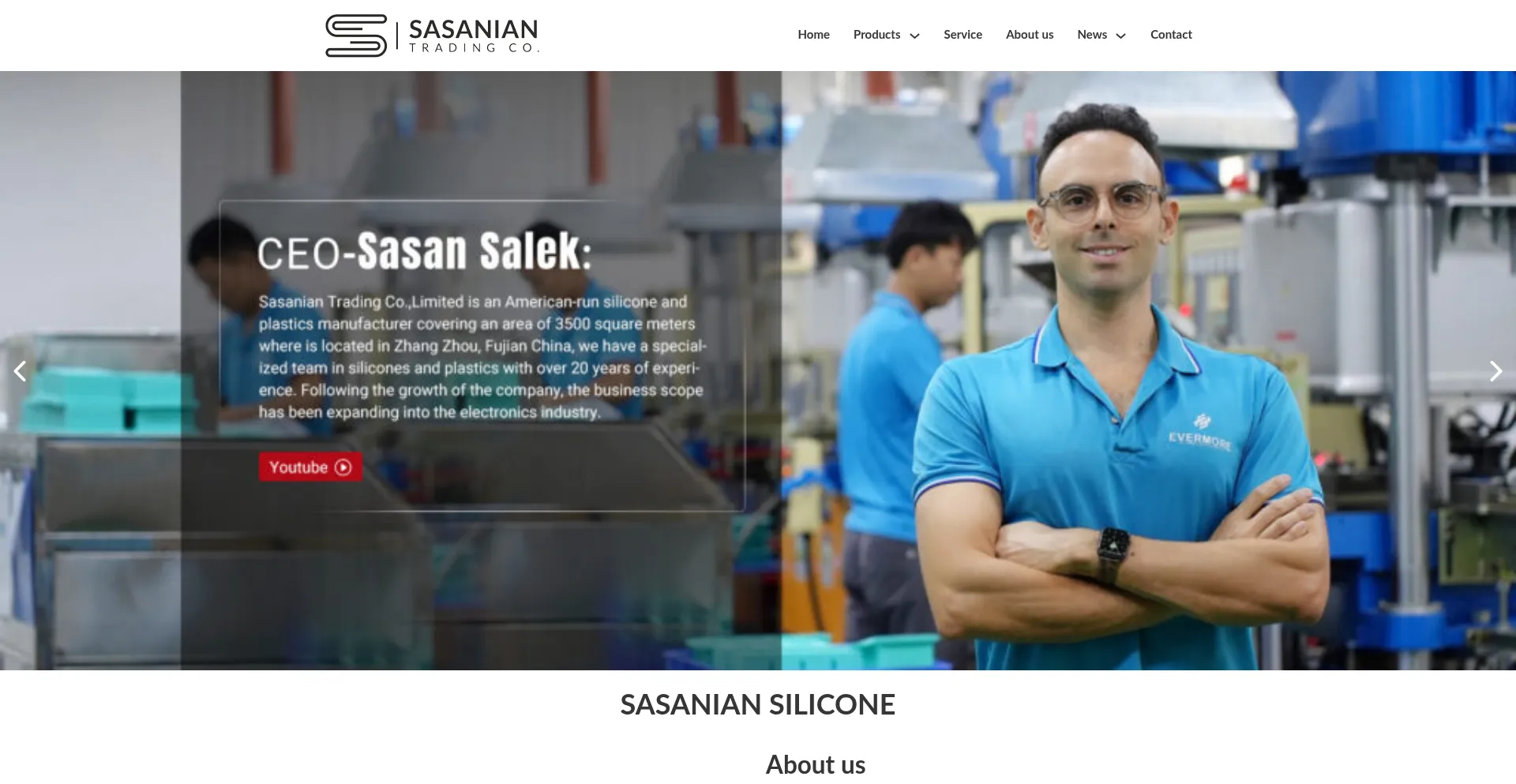 Sasaniansilicone.com Screenshot