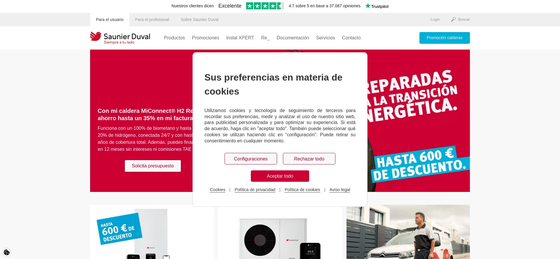 Saunierduval.es Screenshot