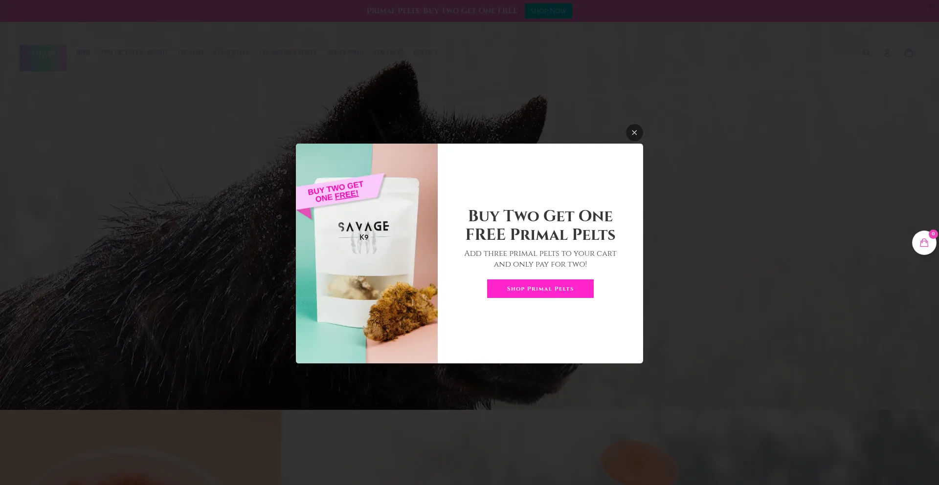 Is Savagek9.com Safe?