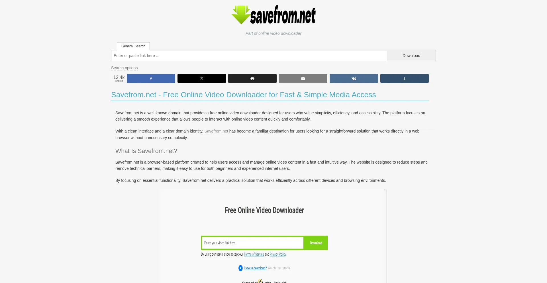 Savefrom-net.online