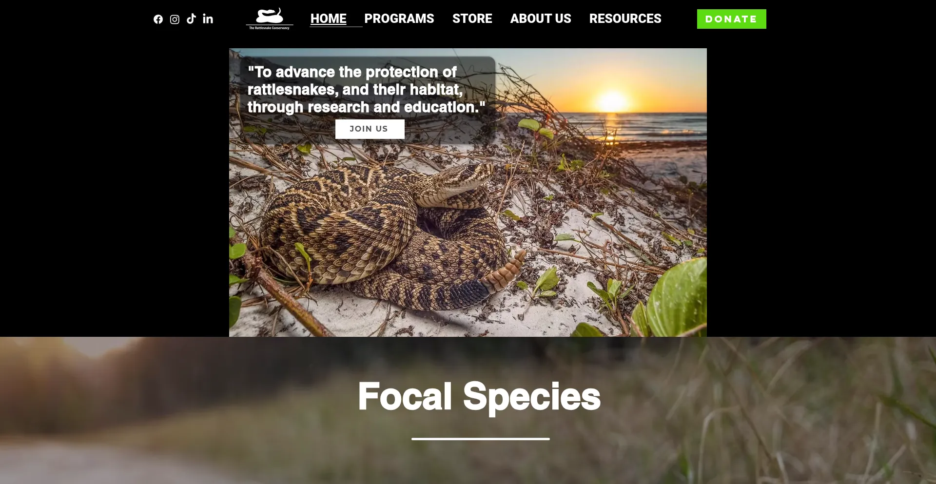 Website screenshot of Savethebuzztails.org
