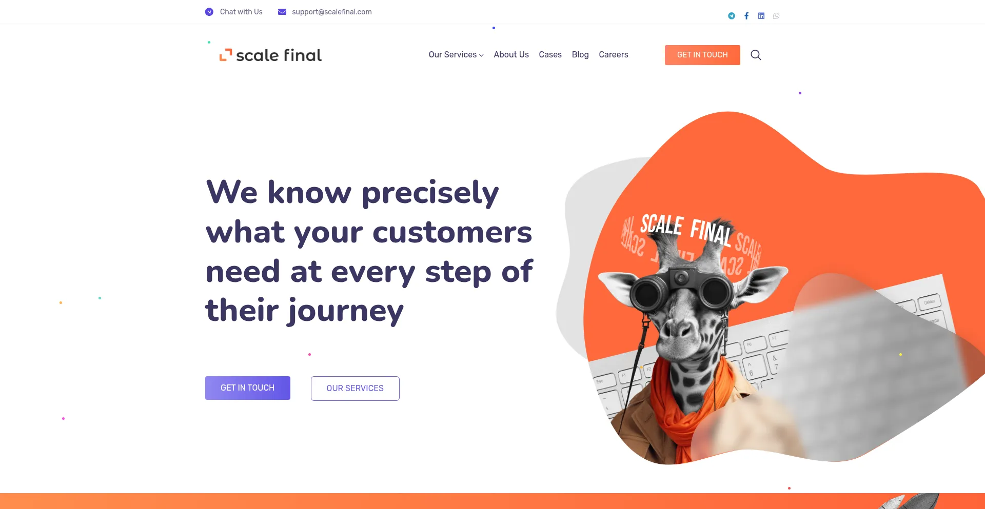 Website screenshot of Scalefinal.com