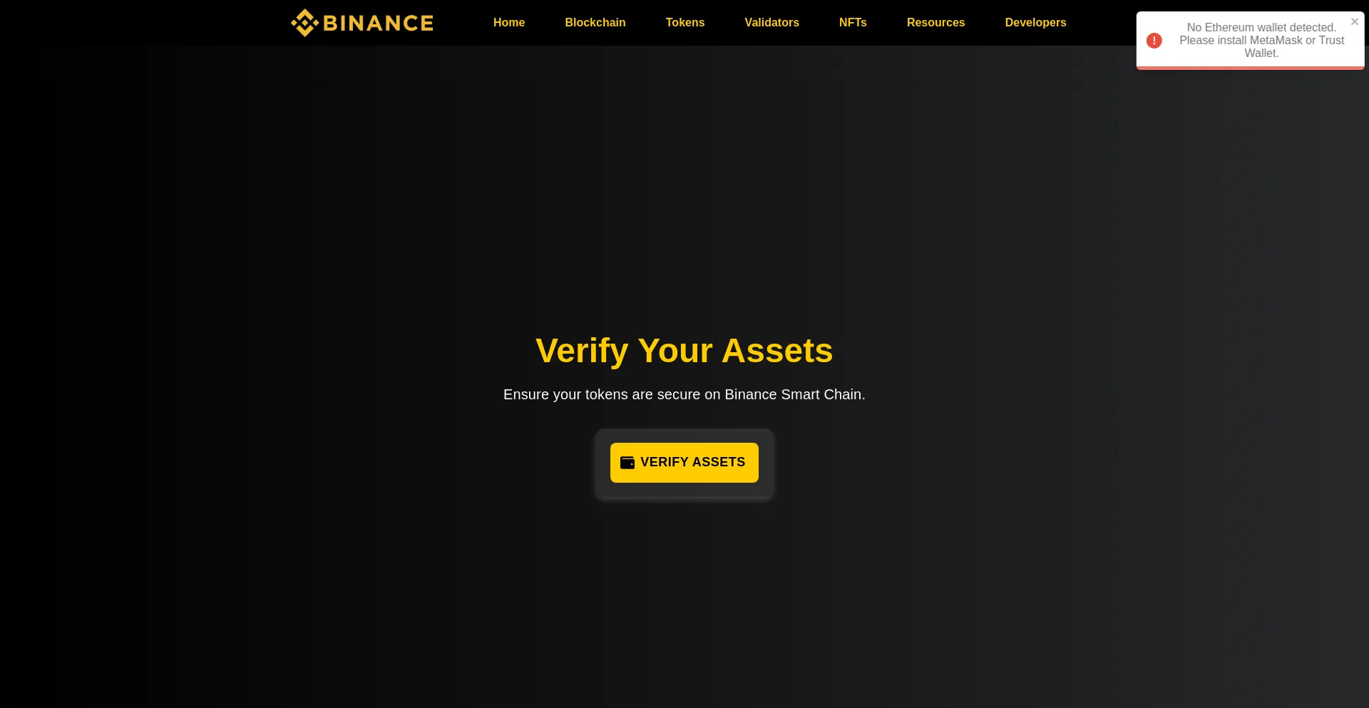 Website screenshot of Scanusdt.net