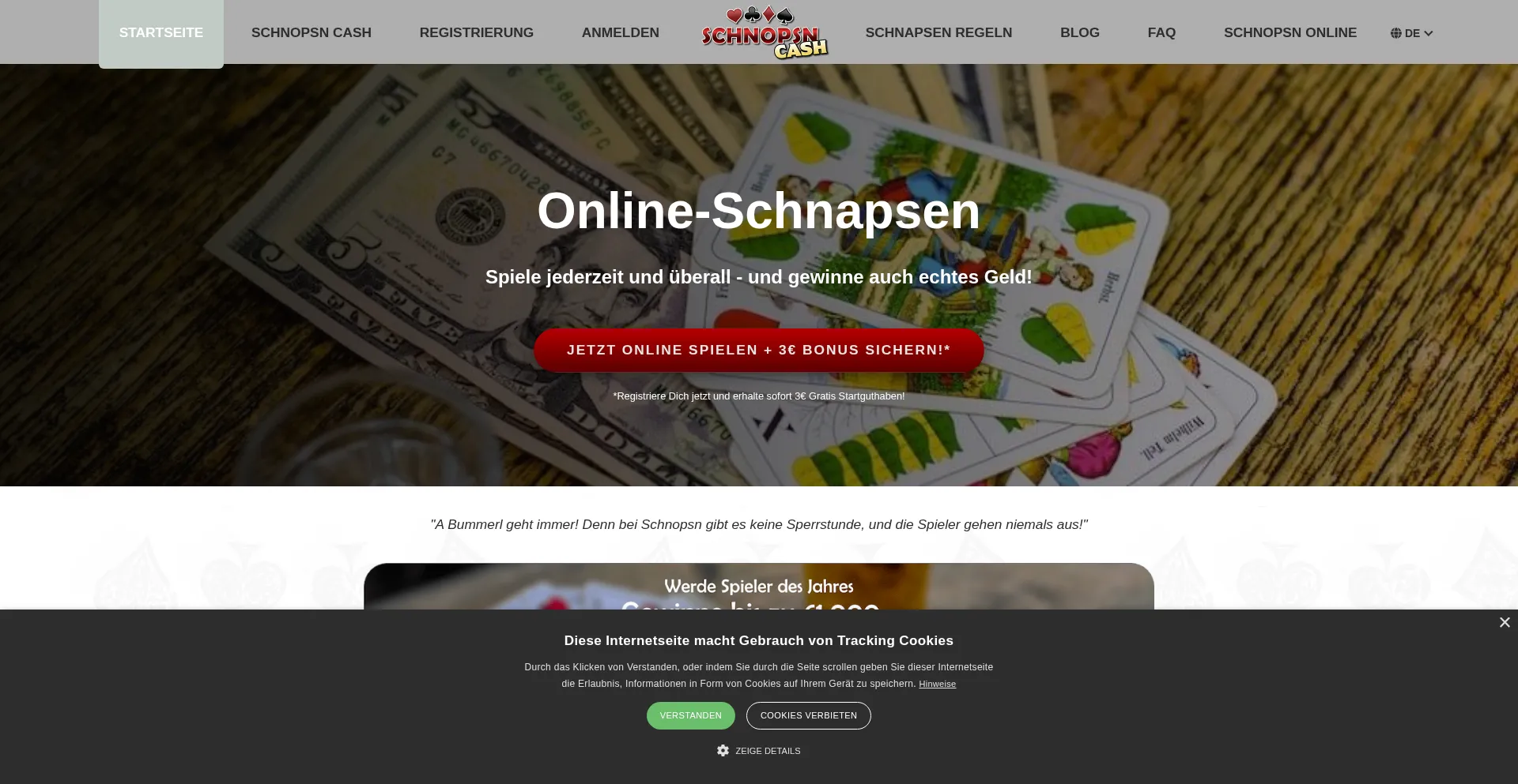 Is Schnopsn.com Safe?
