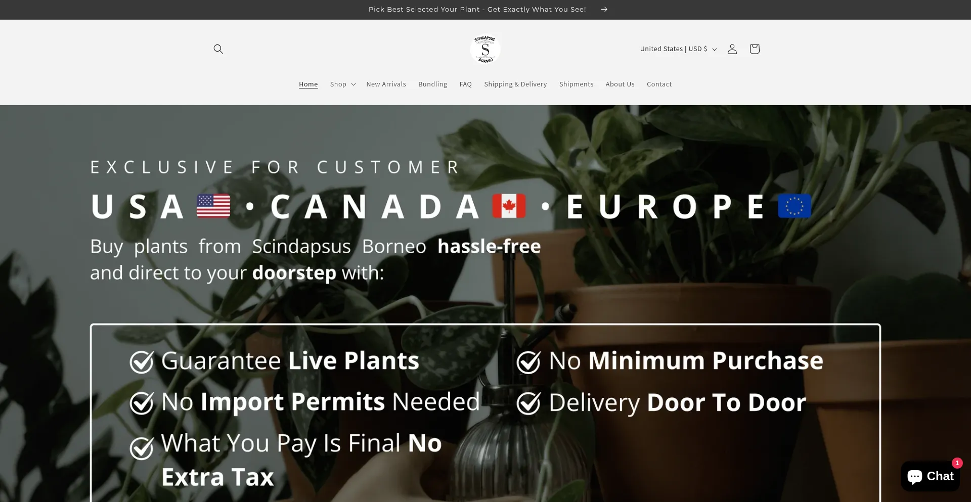 Website screenshot of Scindapsusborneo.com