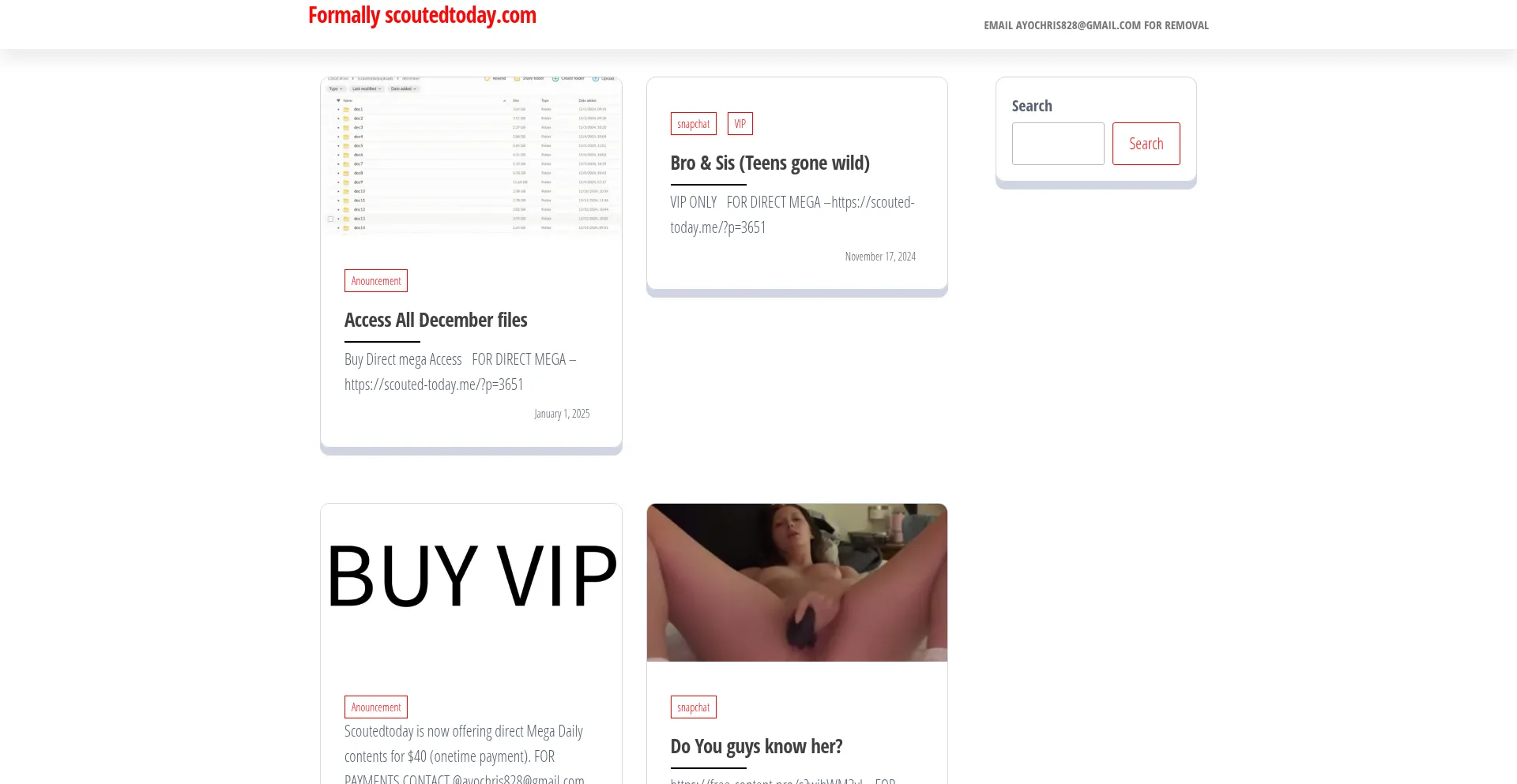 Website screenshot of Scouted-today.me