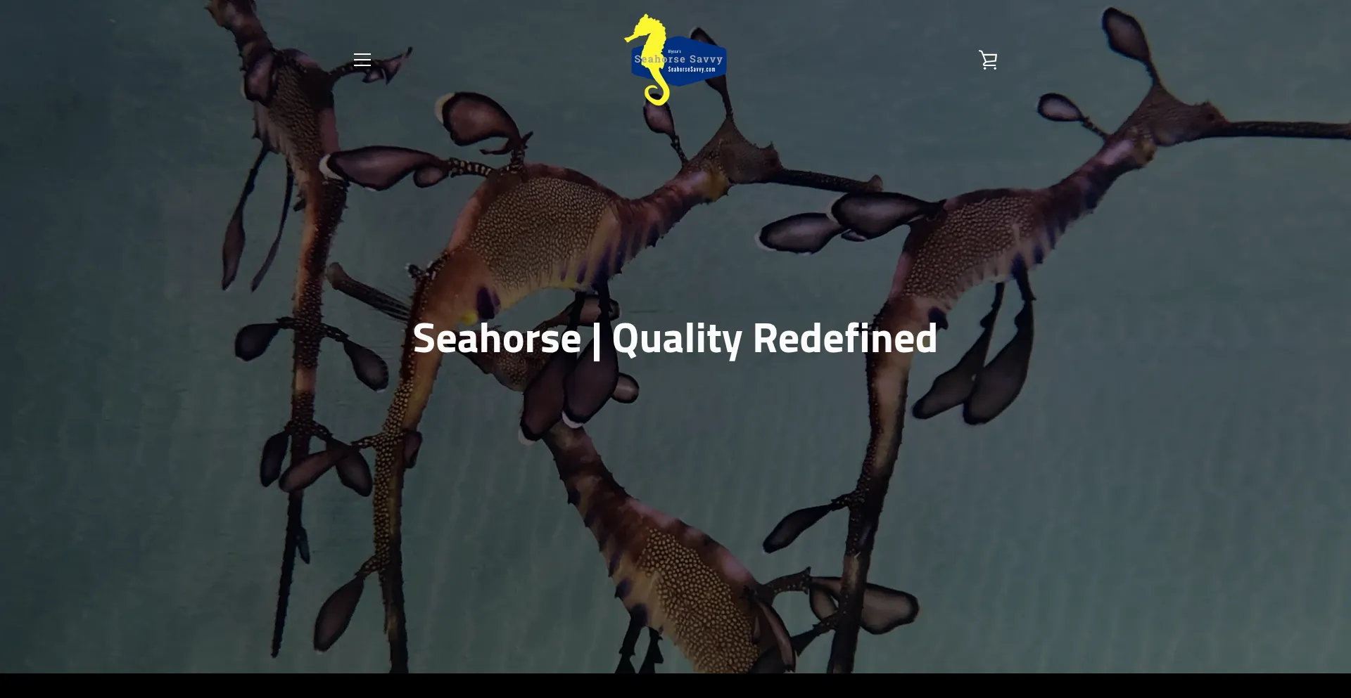 Website screenshot of Seahorsesavvy.com