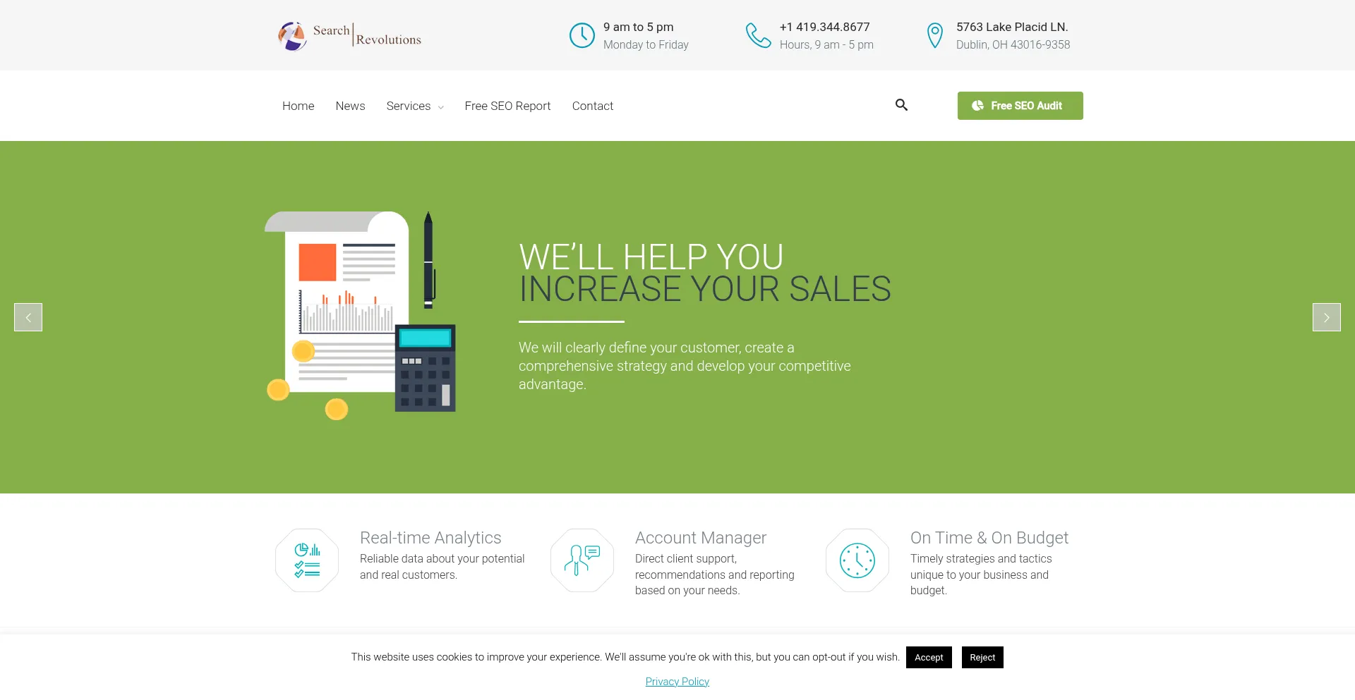 Searchrevolutions.com Screenshot
