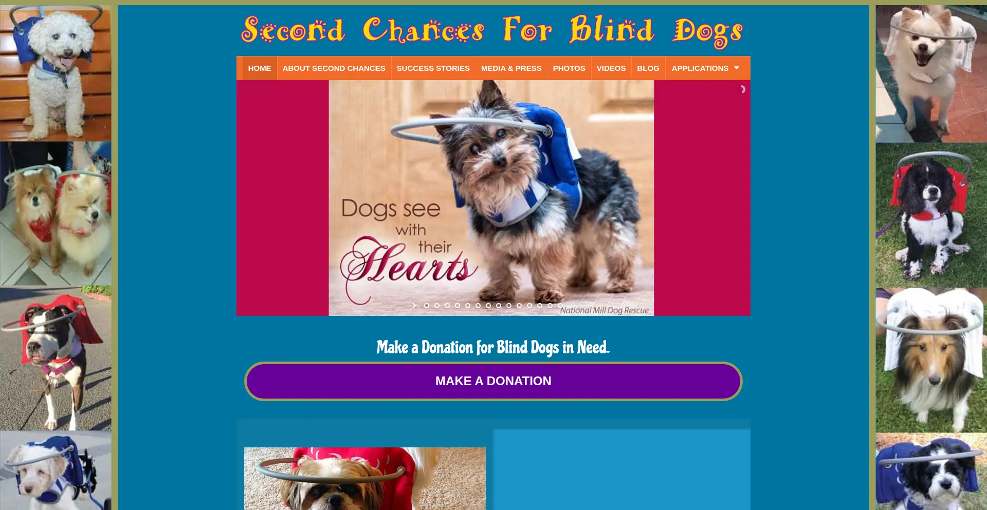 Secondchancesforblinddogs.org