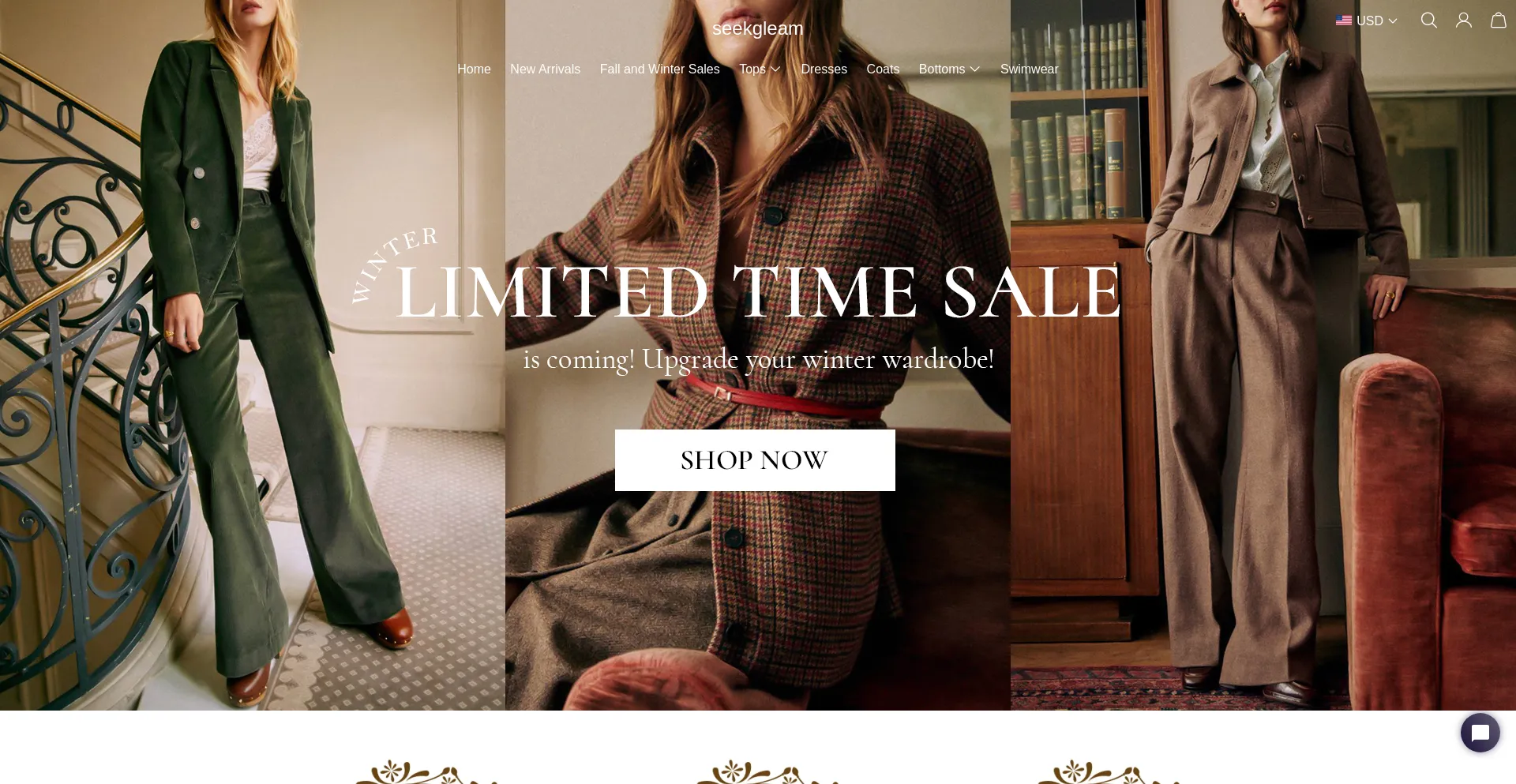 Website screenshot of Seekgleam.com
