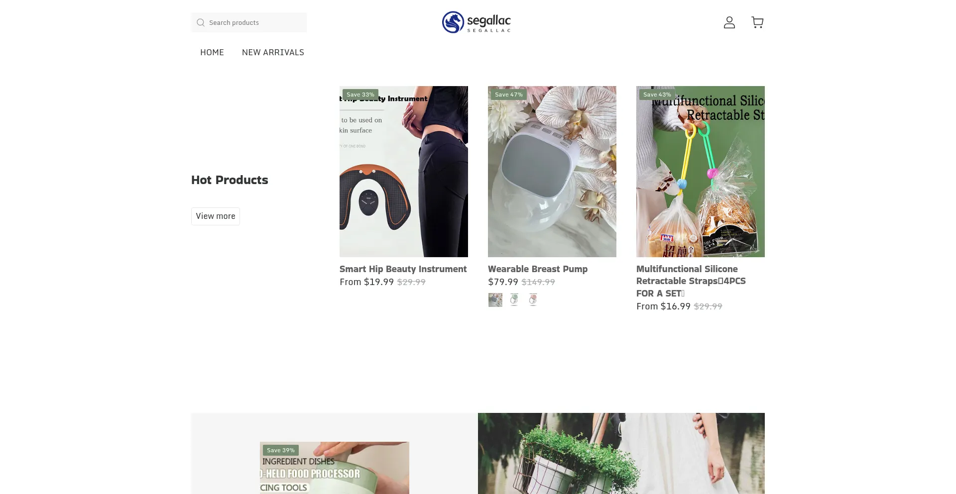 Website screenshot of Segallac.com