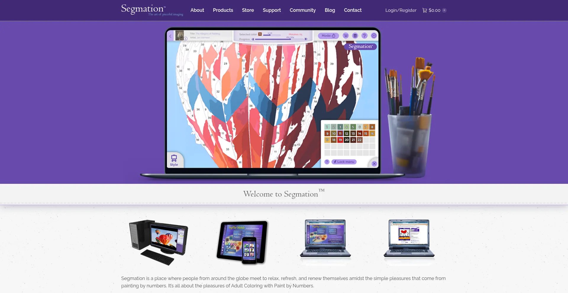 Website screenshot of Segmation.com