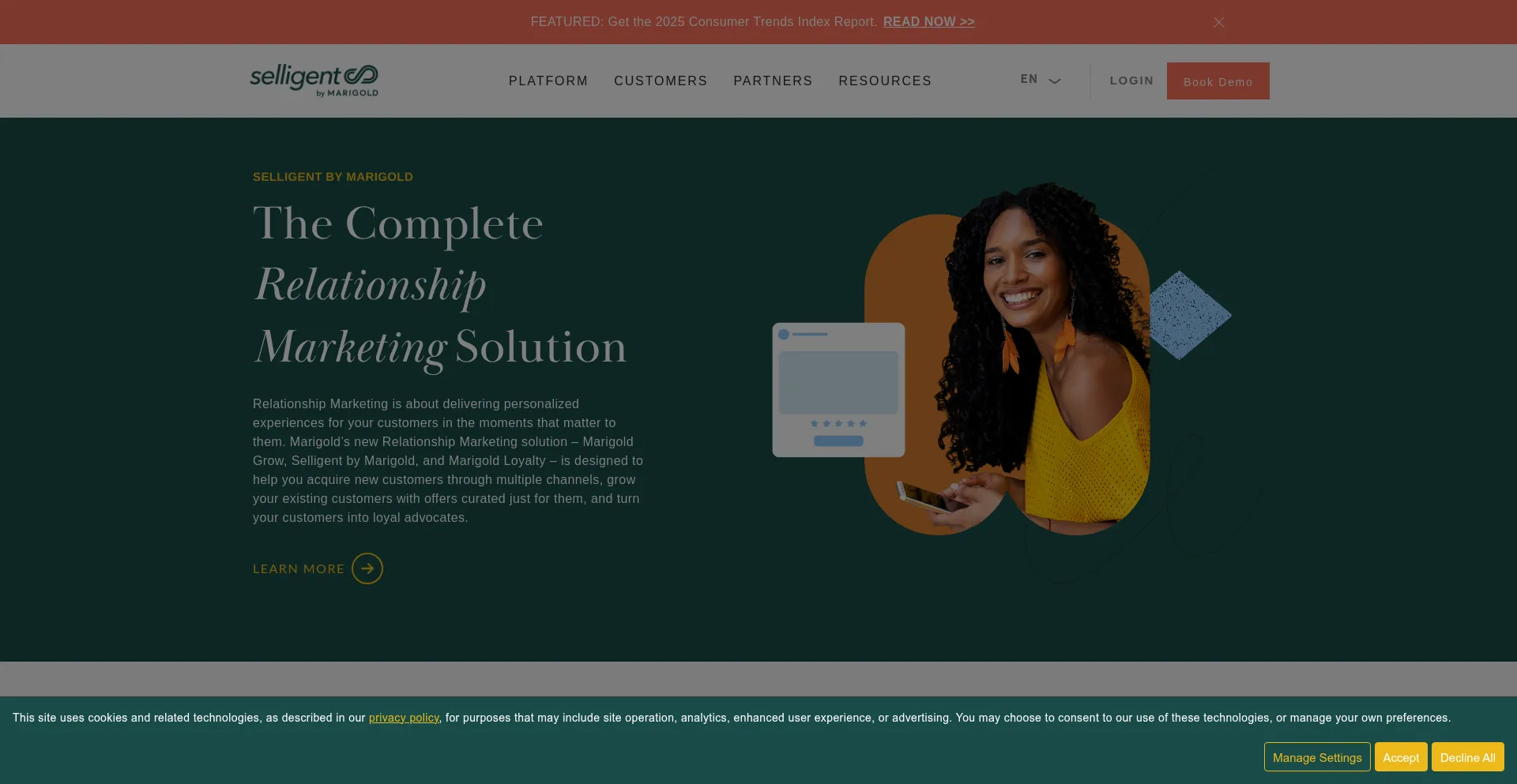 Website screenshot of Selligent.com