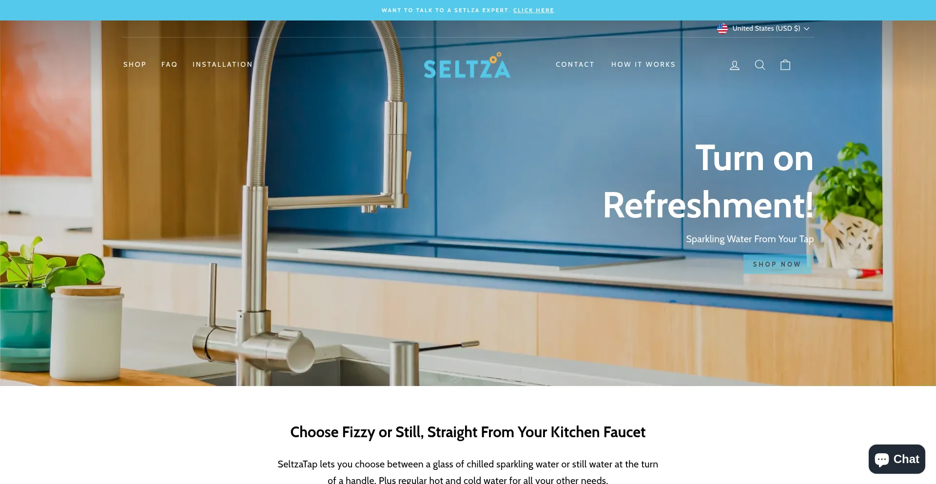 Website screenshot of Seltzatap.com
