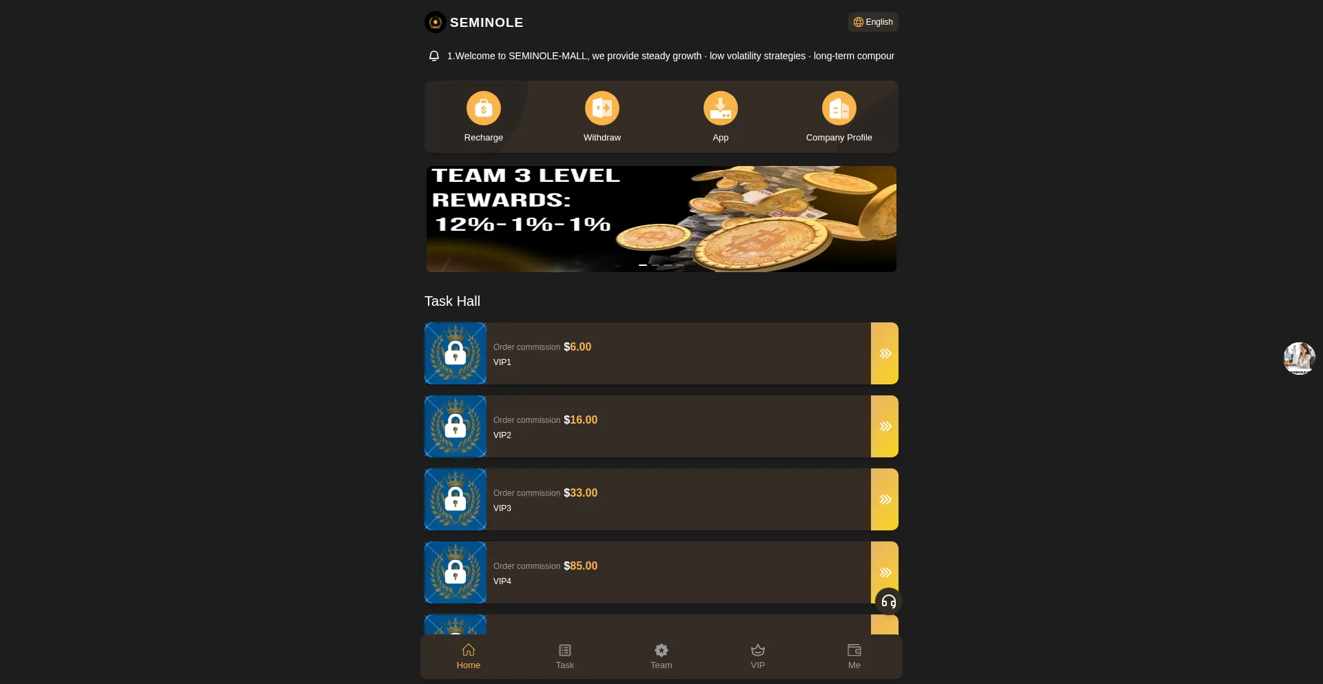 Website screenshot of Seminole-mall.com